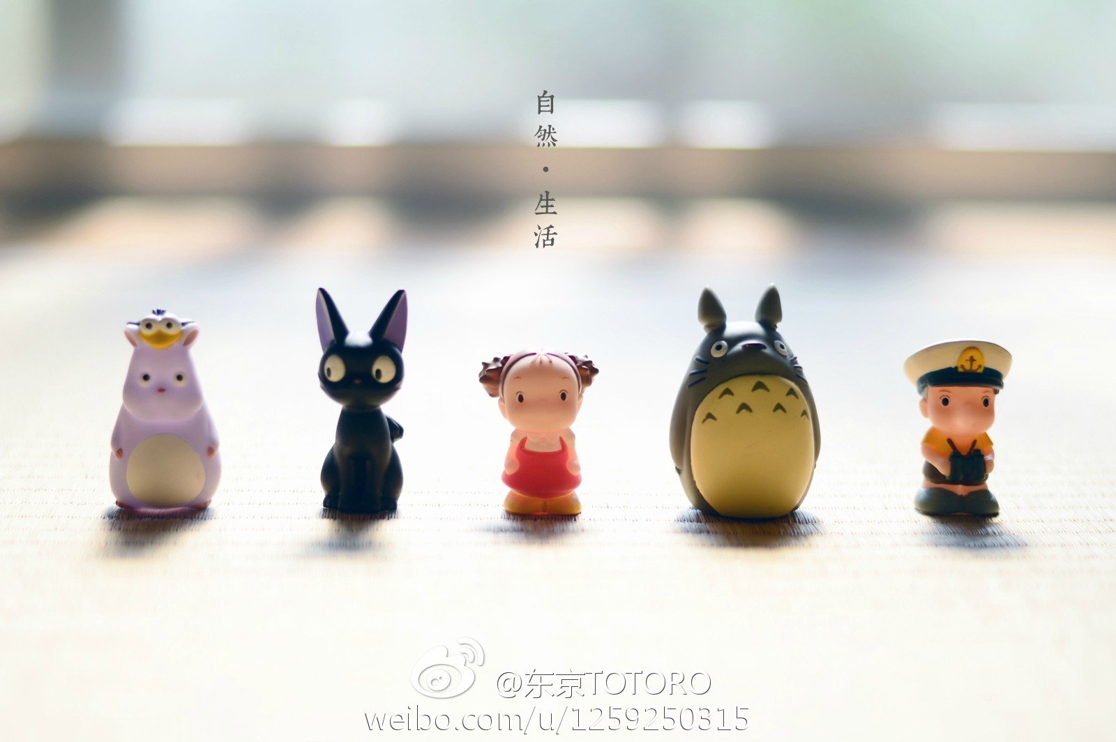 小清新 唯美 温暖 温馨一刻 静物写真 龙猫