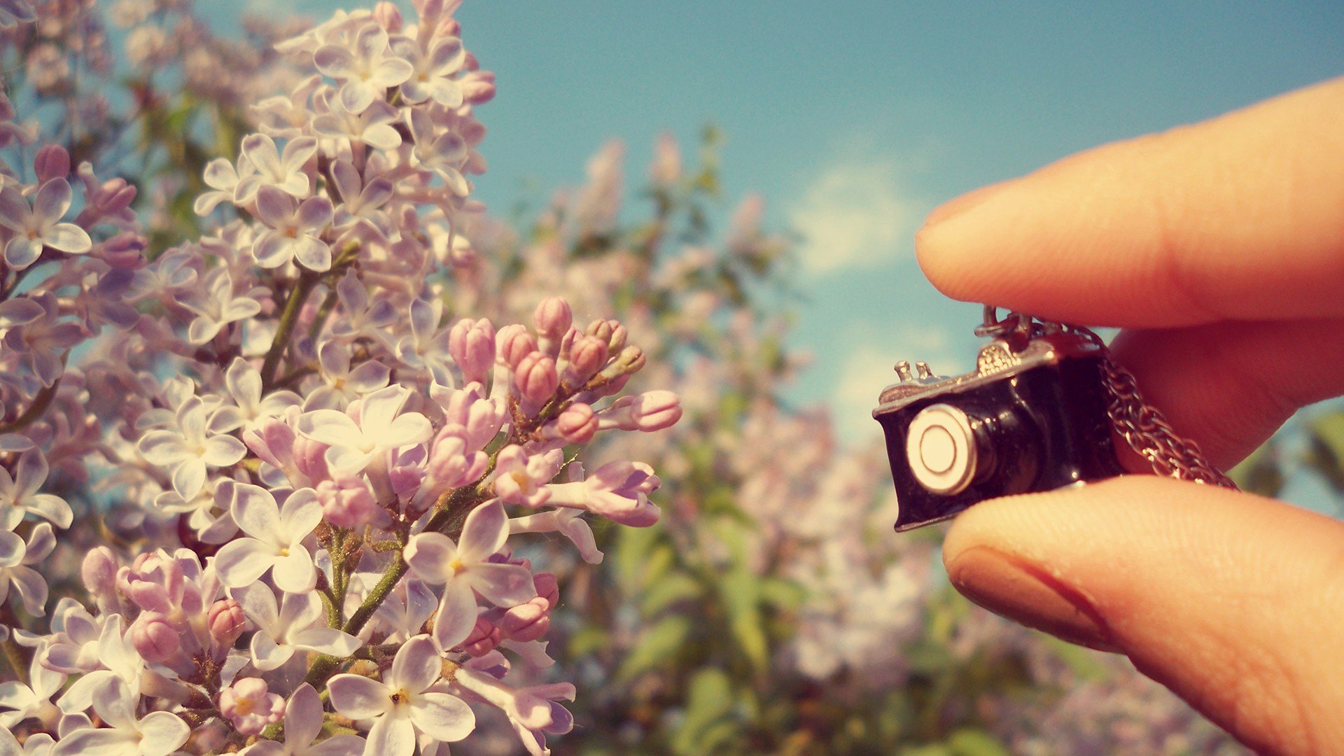 小清新 唯美 温暖 温馨一刻 静物写真