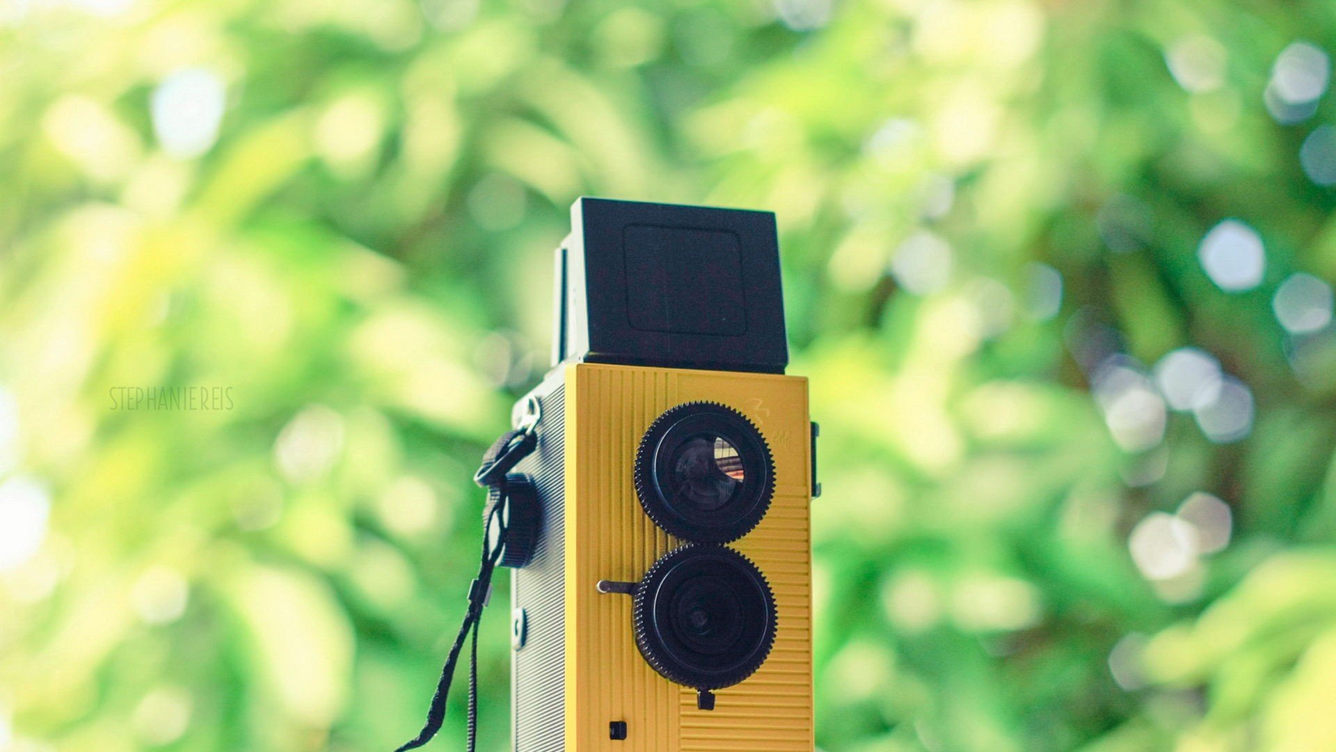 小清新 唯美 温暖 温馨一刻 静物写真