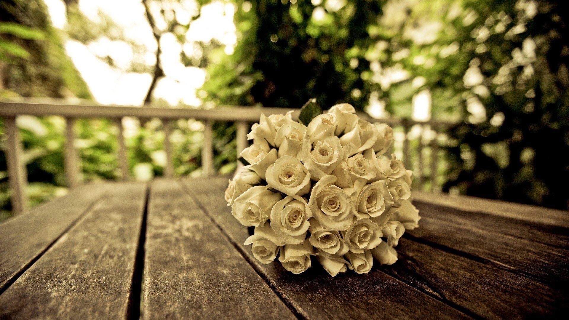 小清新 唯美 温暖 温馨一刻 静物写真