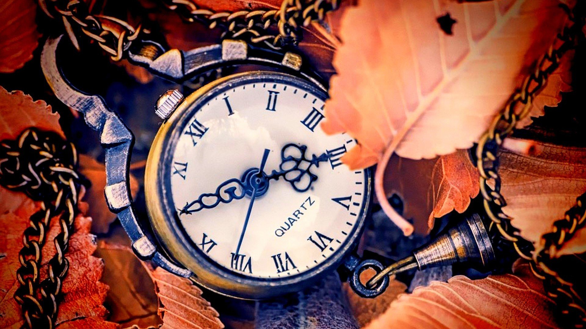 小清新 唯美 温暖 温馨一刻 静物写真