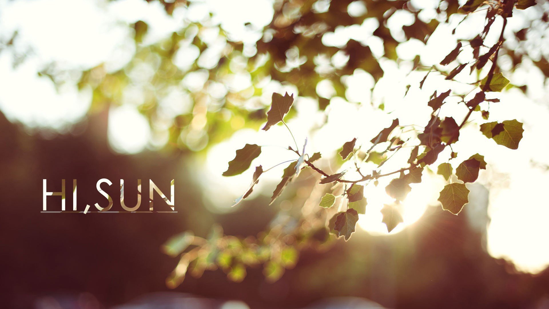 小清新 唯美 温暖 温馨一刻 静物写真