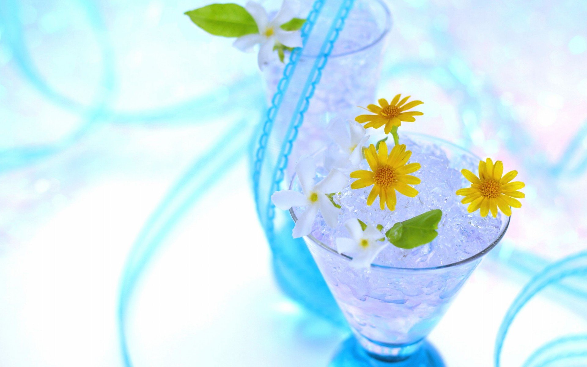 小清新 唯美  娇艳欲滴 花儿 春天 唯美 温暖 温馨一刻  清新淡雅 鸟语花香