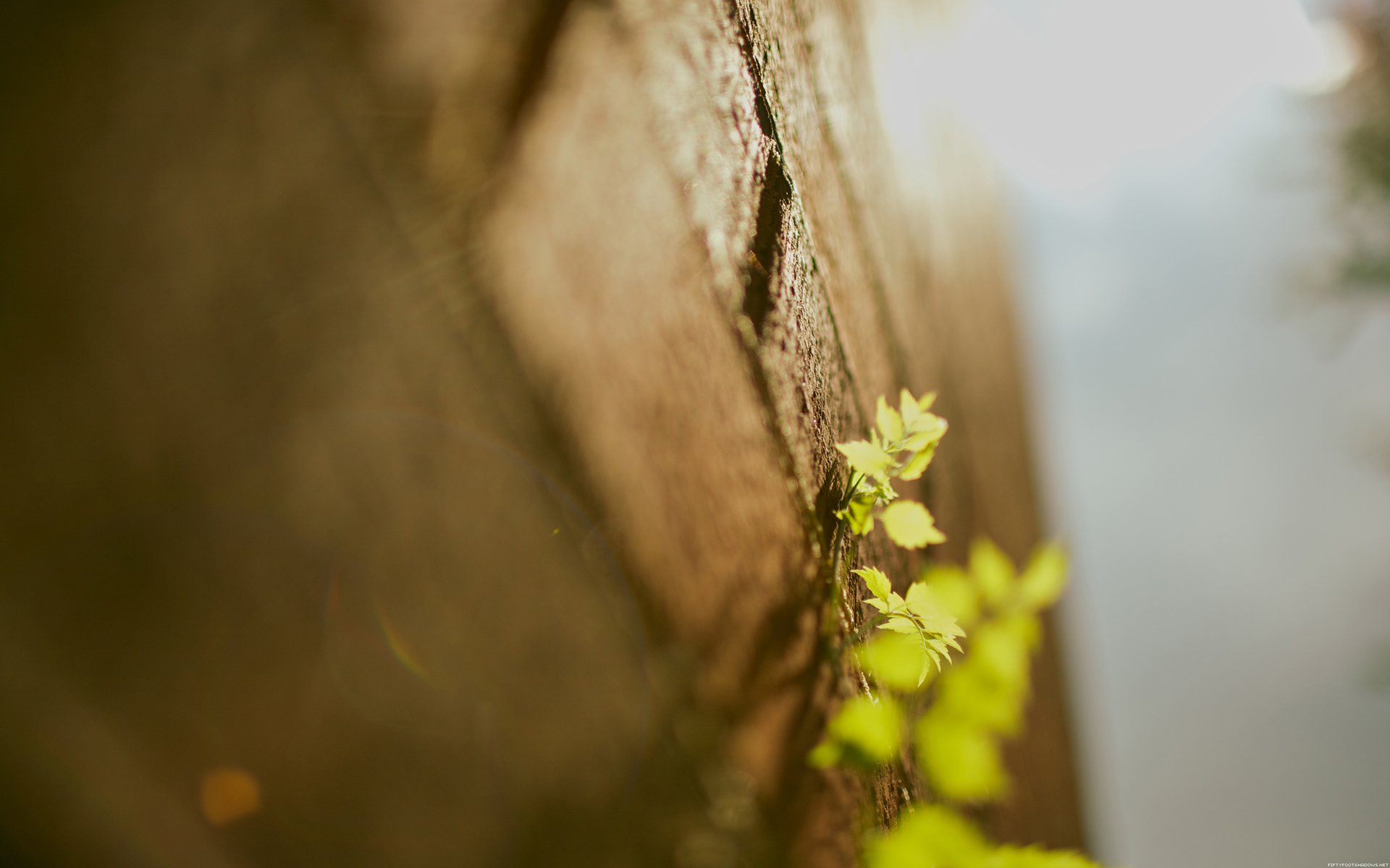 温馨一刻 小清新 风景 LOMO 复古 怀念