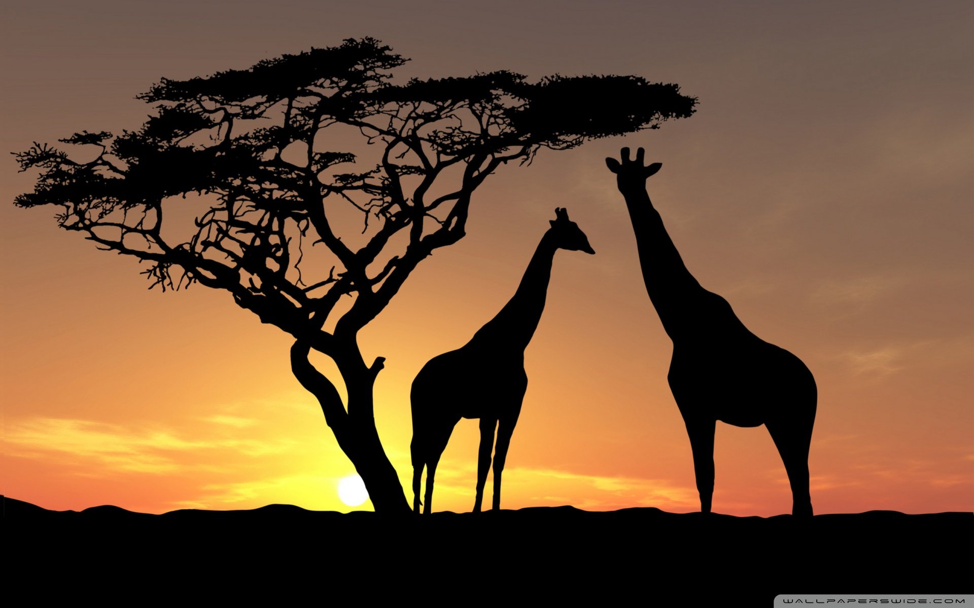 温馨一刻 小清新 风景 LOMO 复古 怀念