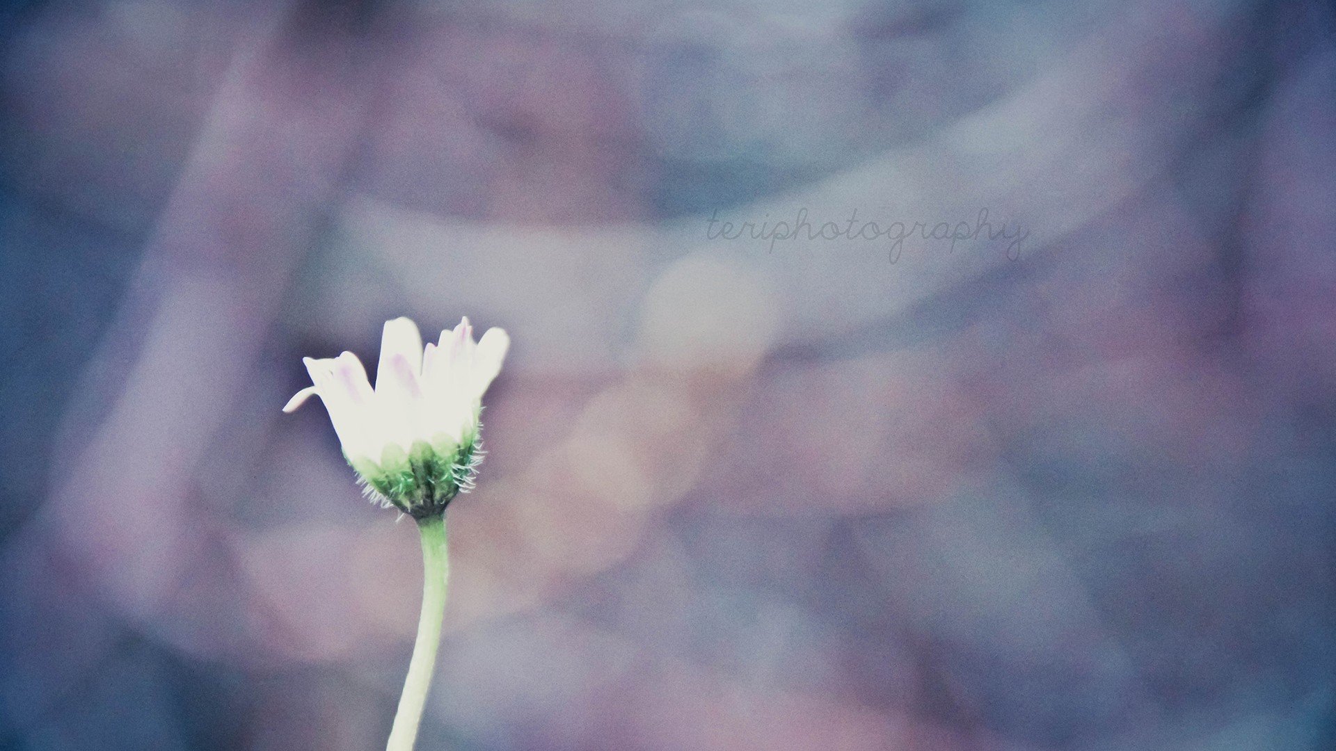 小清新 唯美 温暖 安静