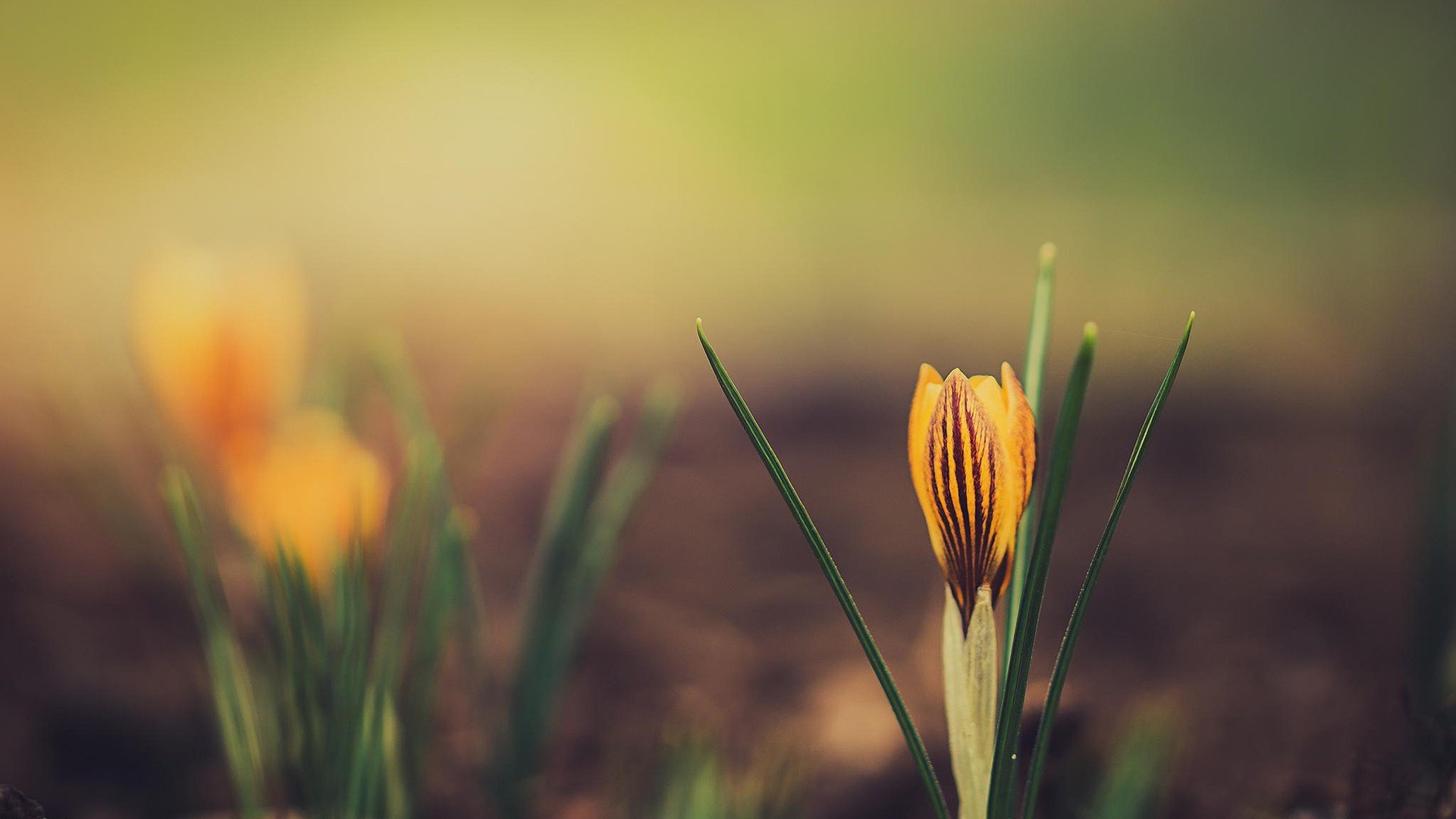 小清新 唯美 温暖 安静