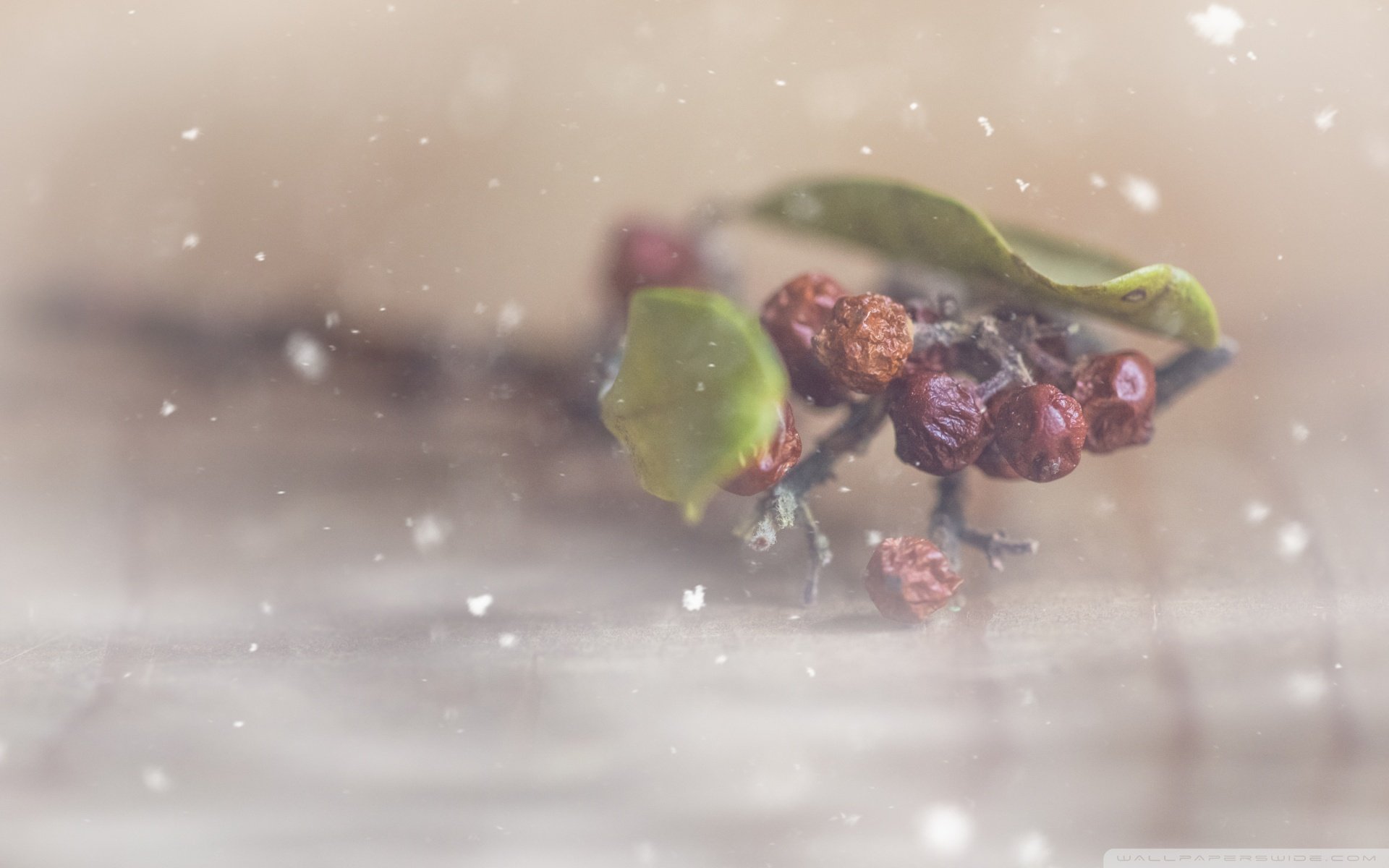 小清新 唯美 温暖 安静