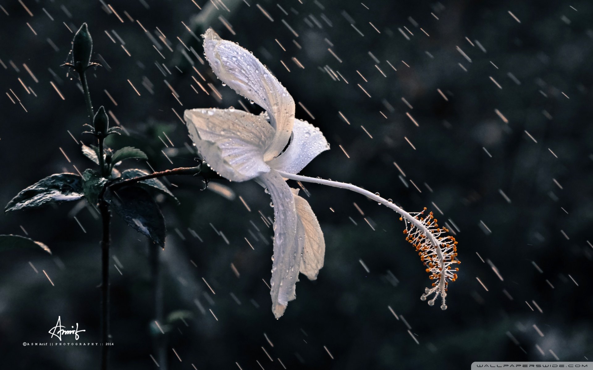 小清新 唯美 温暖 安静