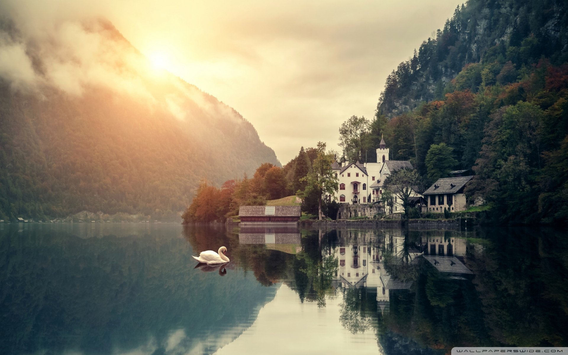 风景