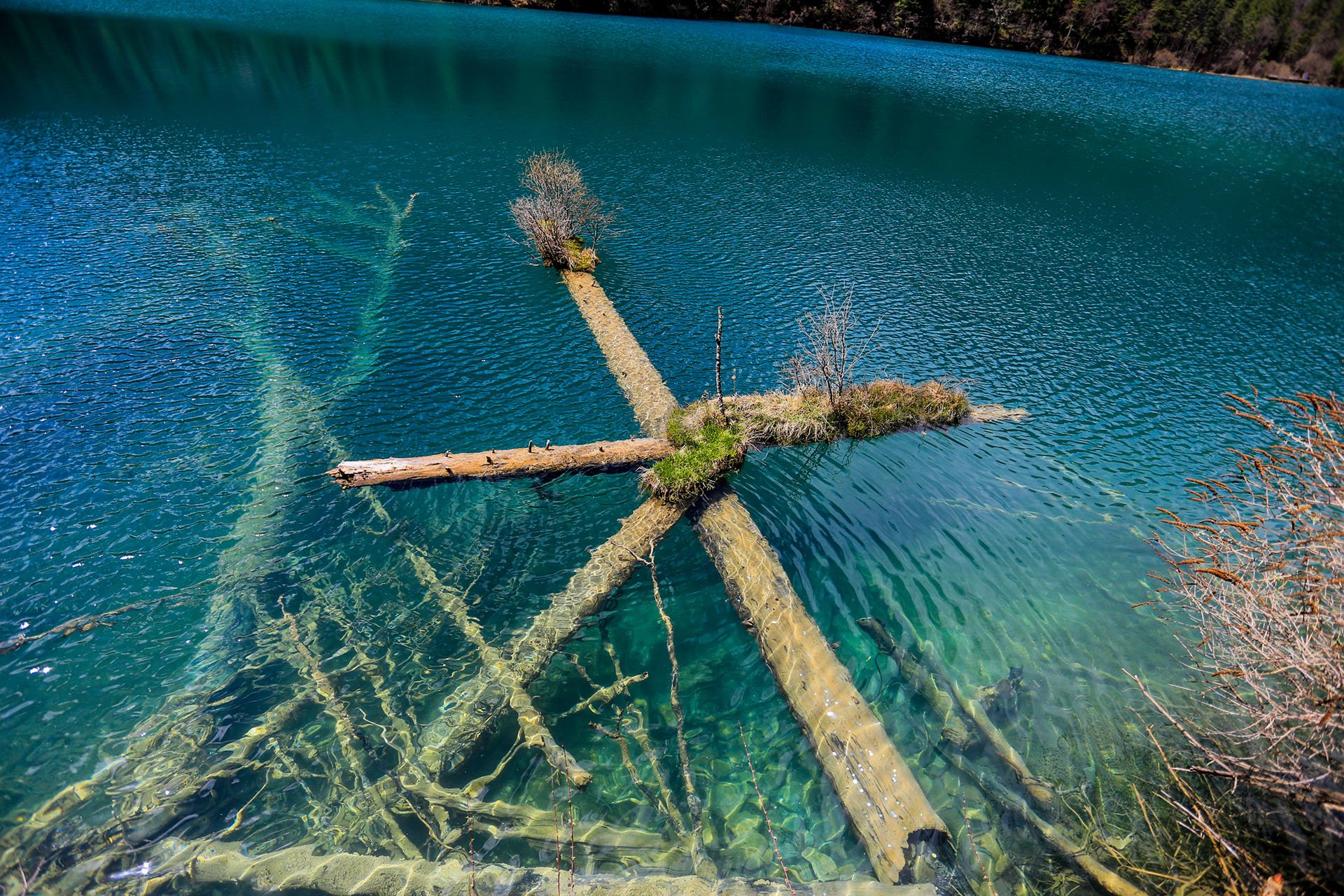 摄影 自然风光 九寨沟 风景 唯美 意境