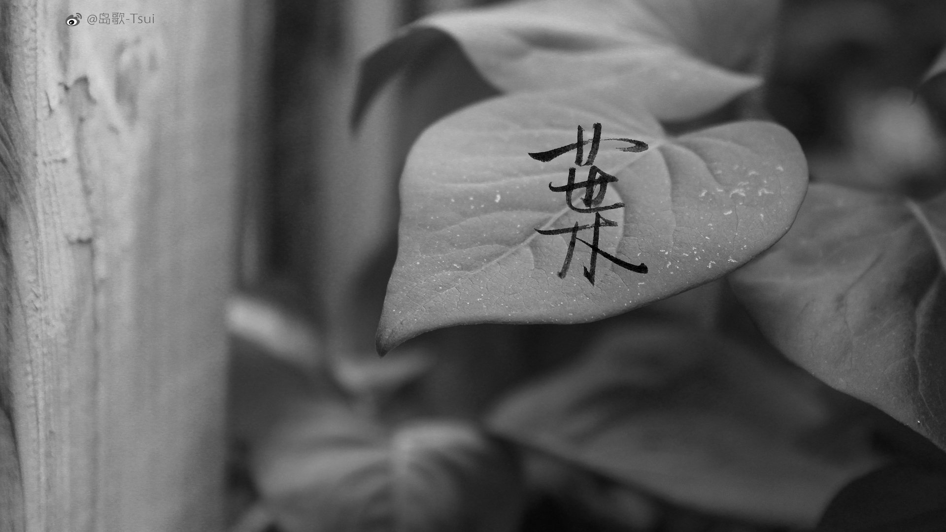 岛歌 手写 伤感 文字