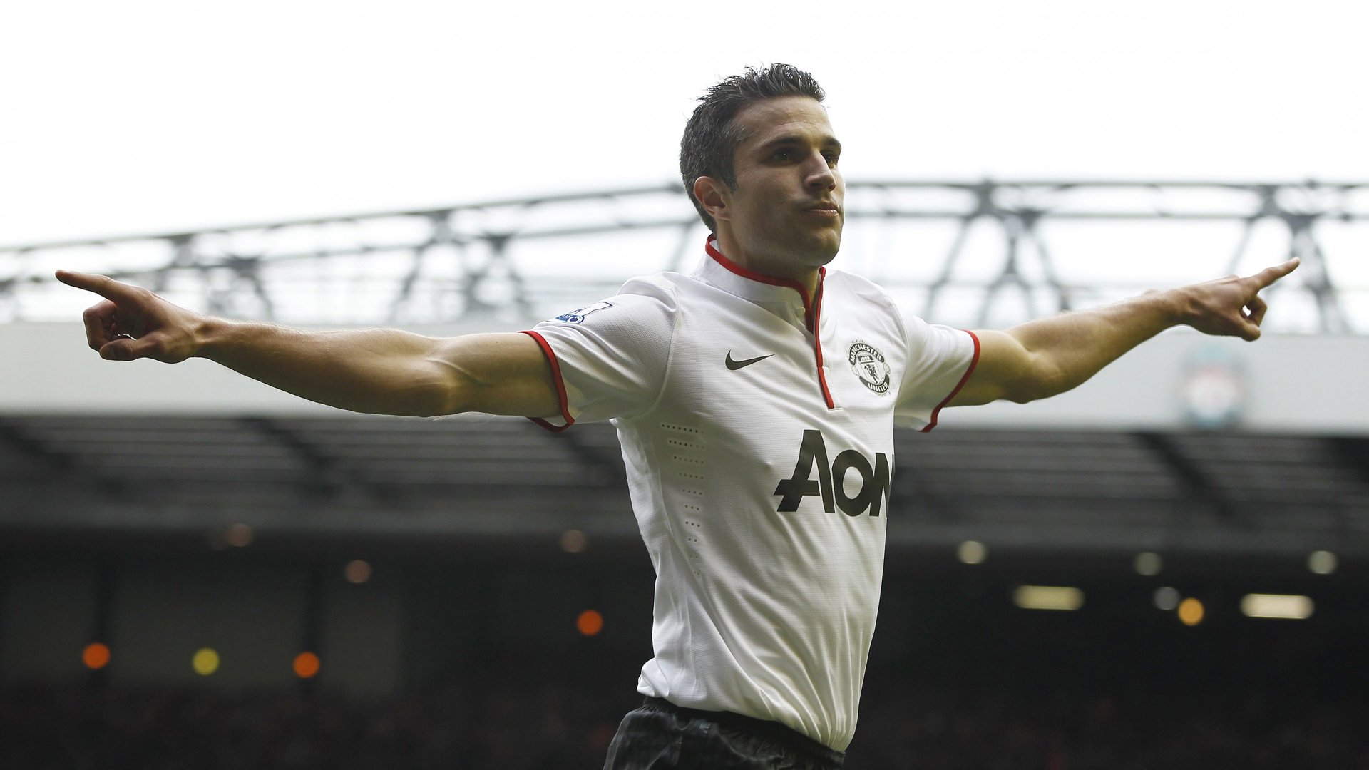 世界杯 体育 运动 巴西世界杯 帅哥 罗宾·范佩西