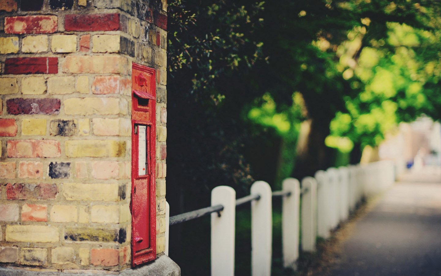 小清新 唯美 温馨 安静 花园 温馨