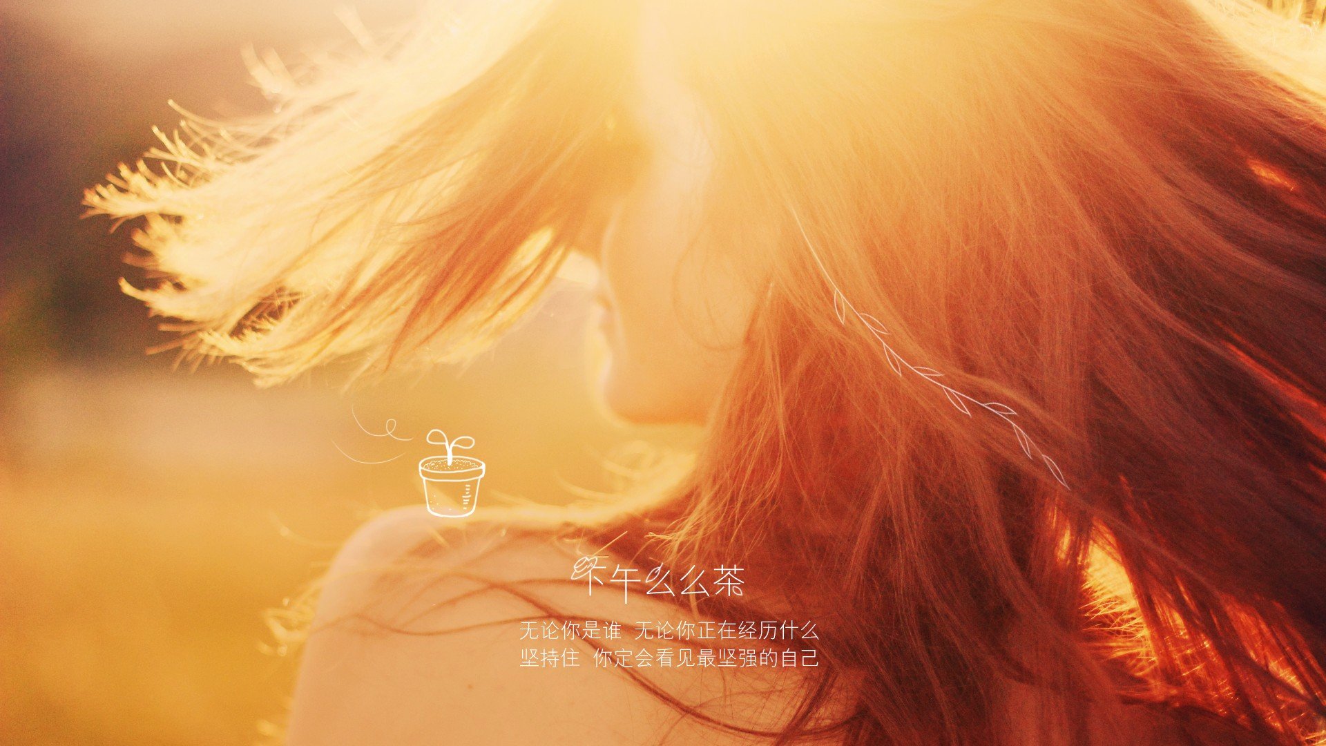 小清新 唯美 温馨 安静 花