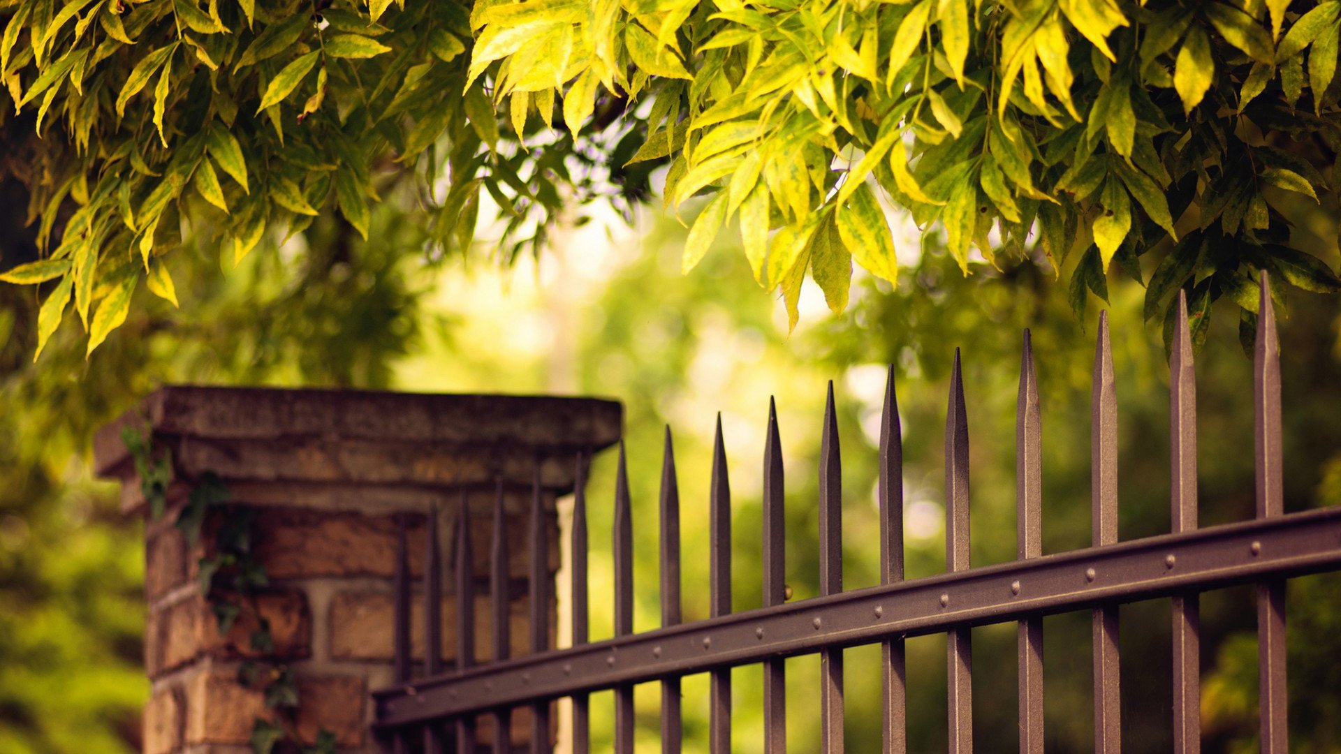 小清新 唯美 温馨 安静 风景