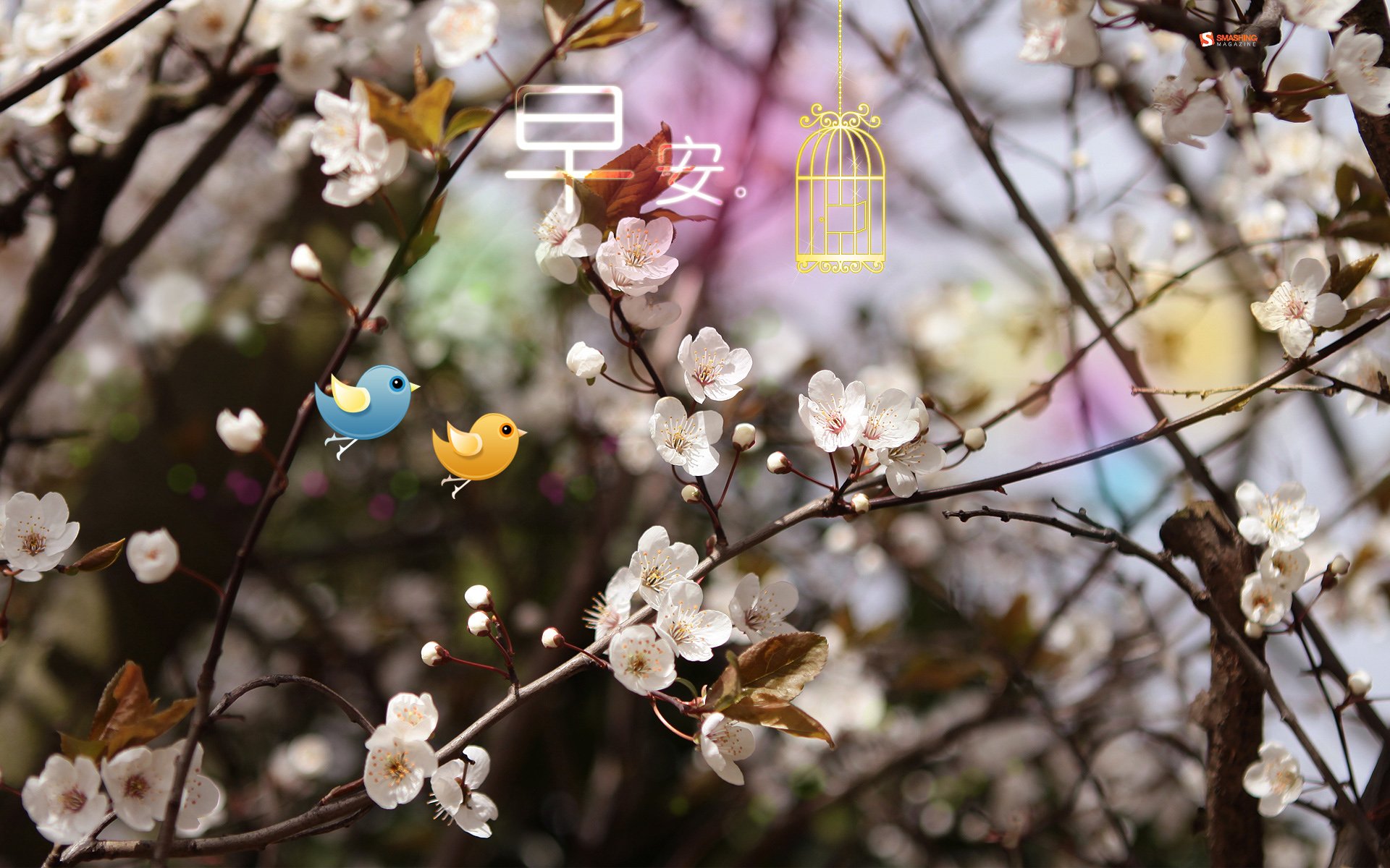 小清新 唯美 早安 温暖 温馨 幸福 鸟儿 花