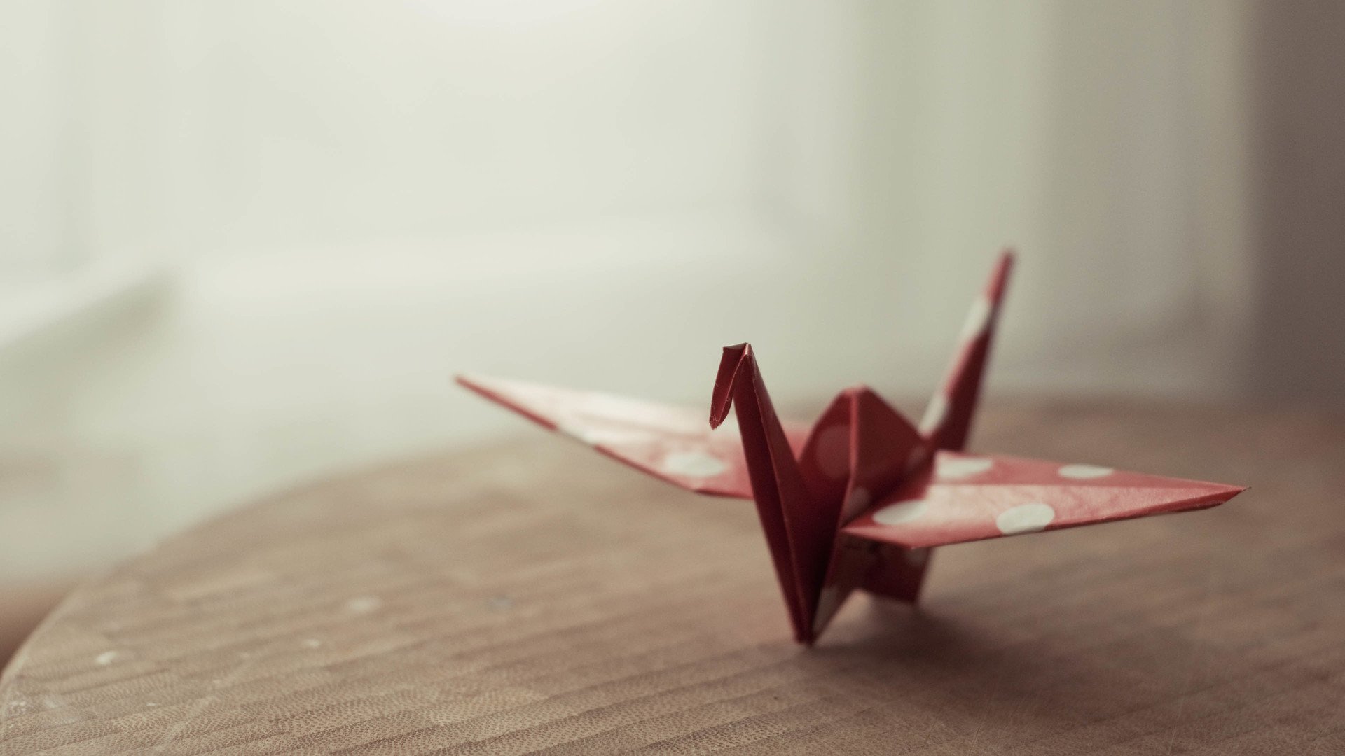 小清新 唯美 折纸 愿望 心愿 千纸鹤