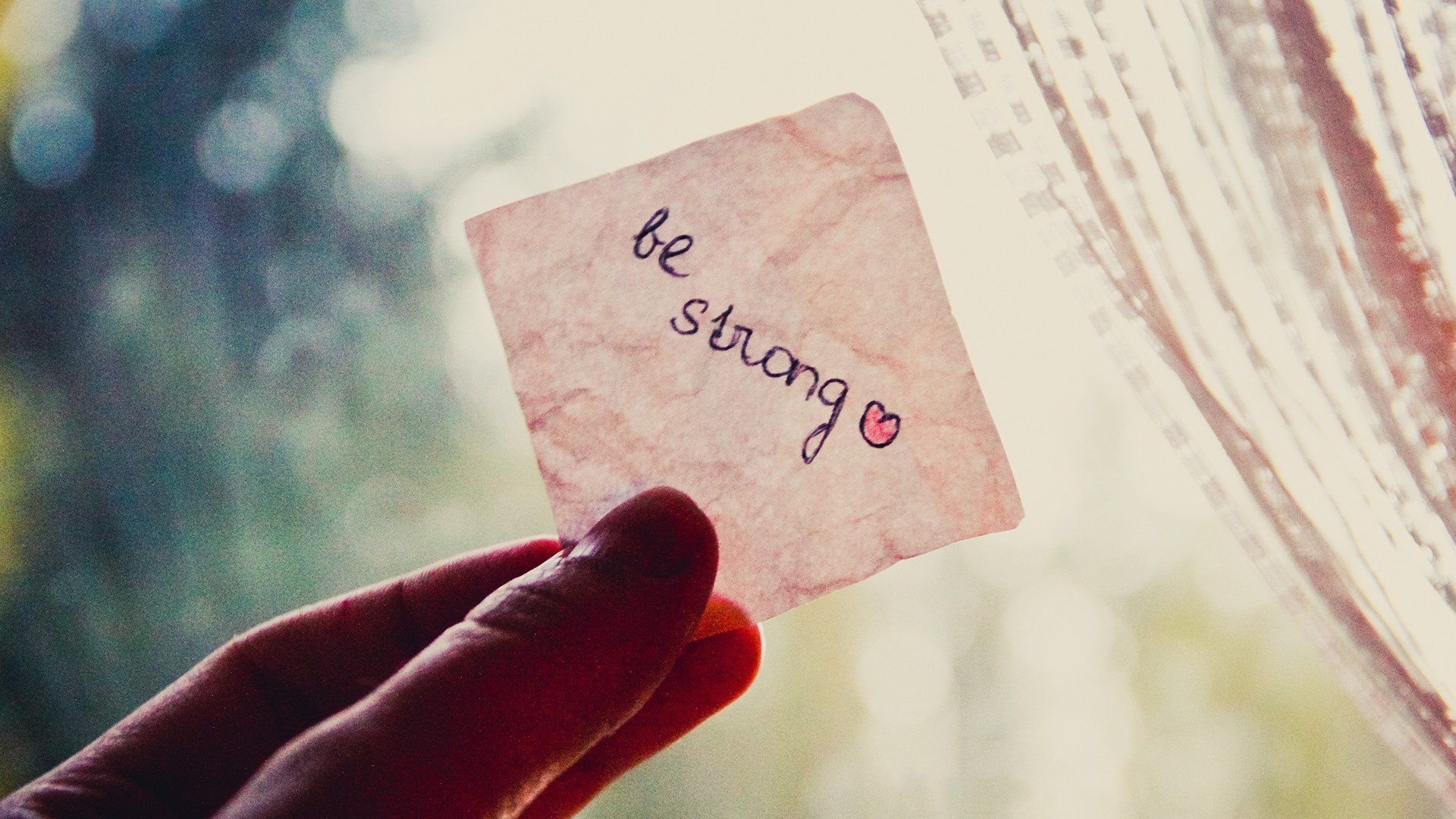 小清新 唯美 静物写真 温馨 物语 文字