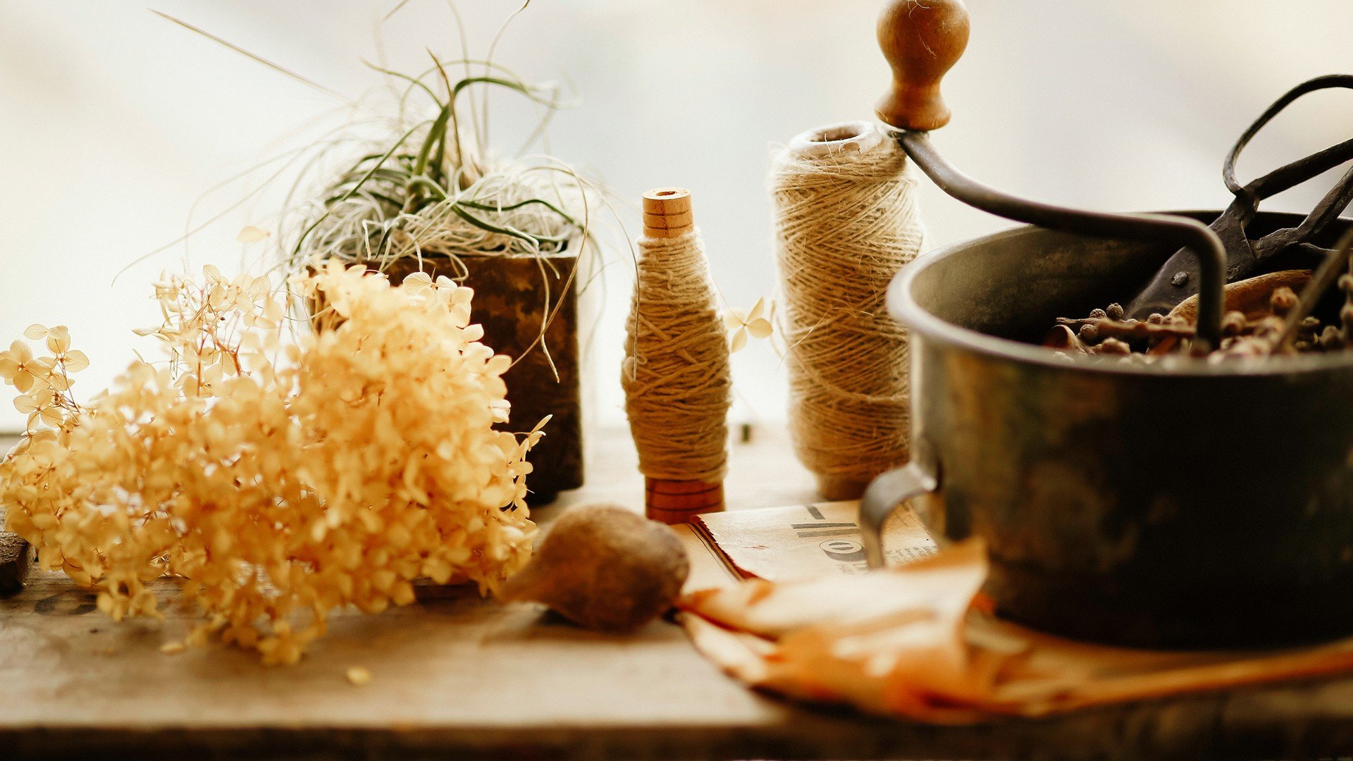 小清新 唯美 静物写真 温馨 物语 回忆 花