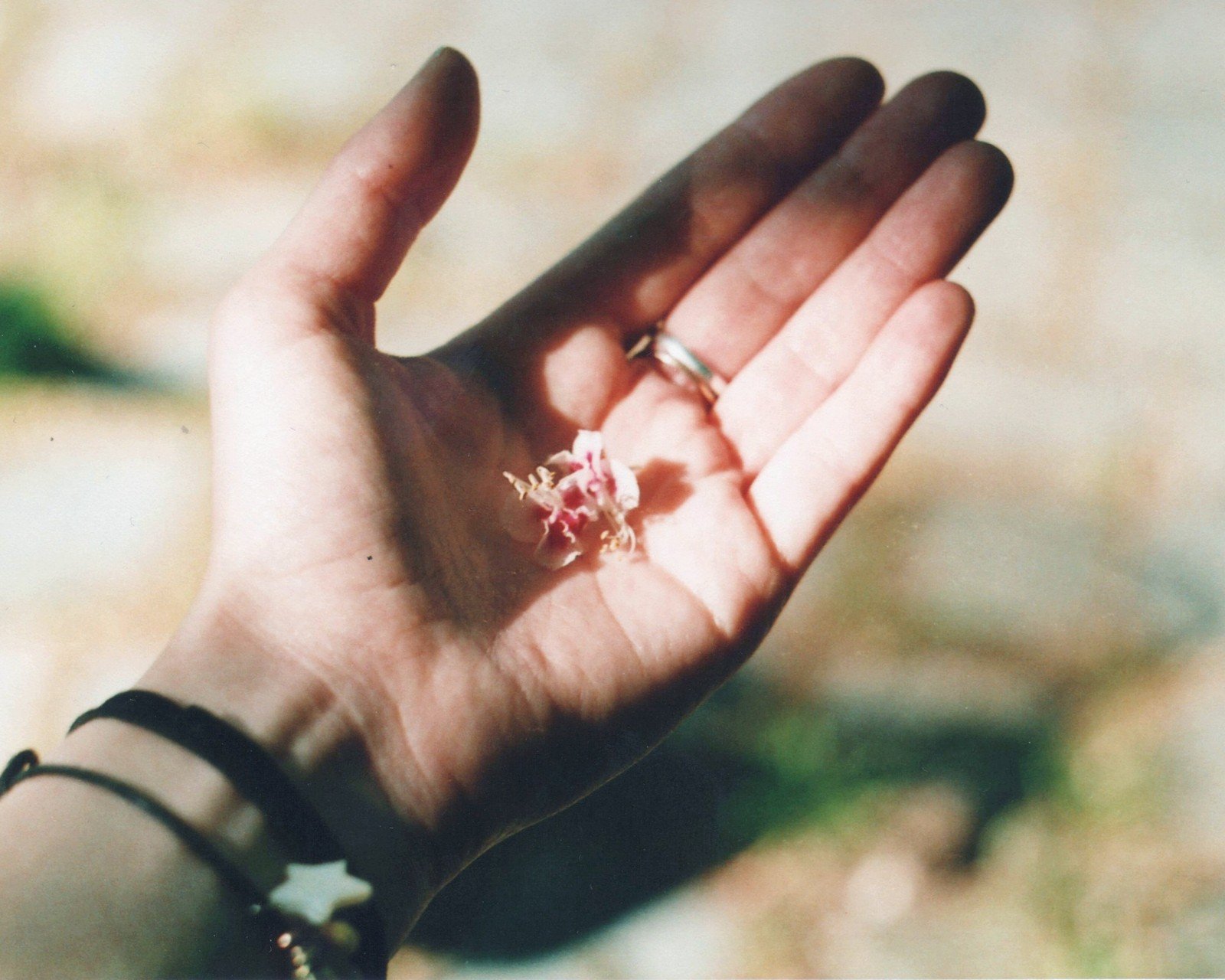 小清新 唯美 静物写真 温馨 物语 回忆 闹钟 时间