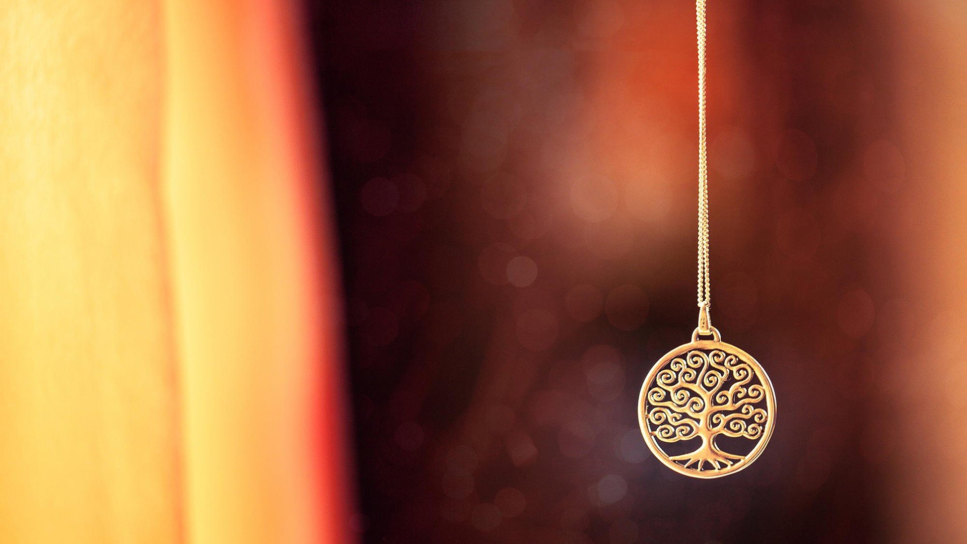 小清新 唯美 静物写真 温馨 物语 回忆 花瓣