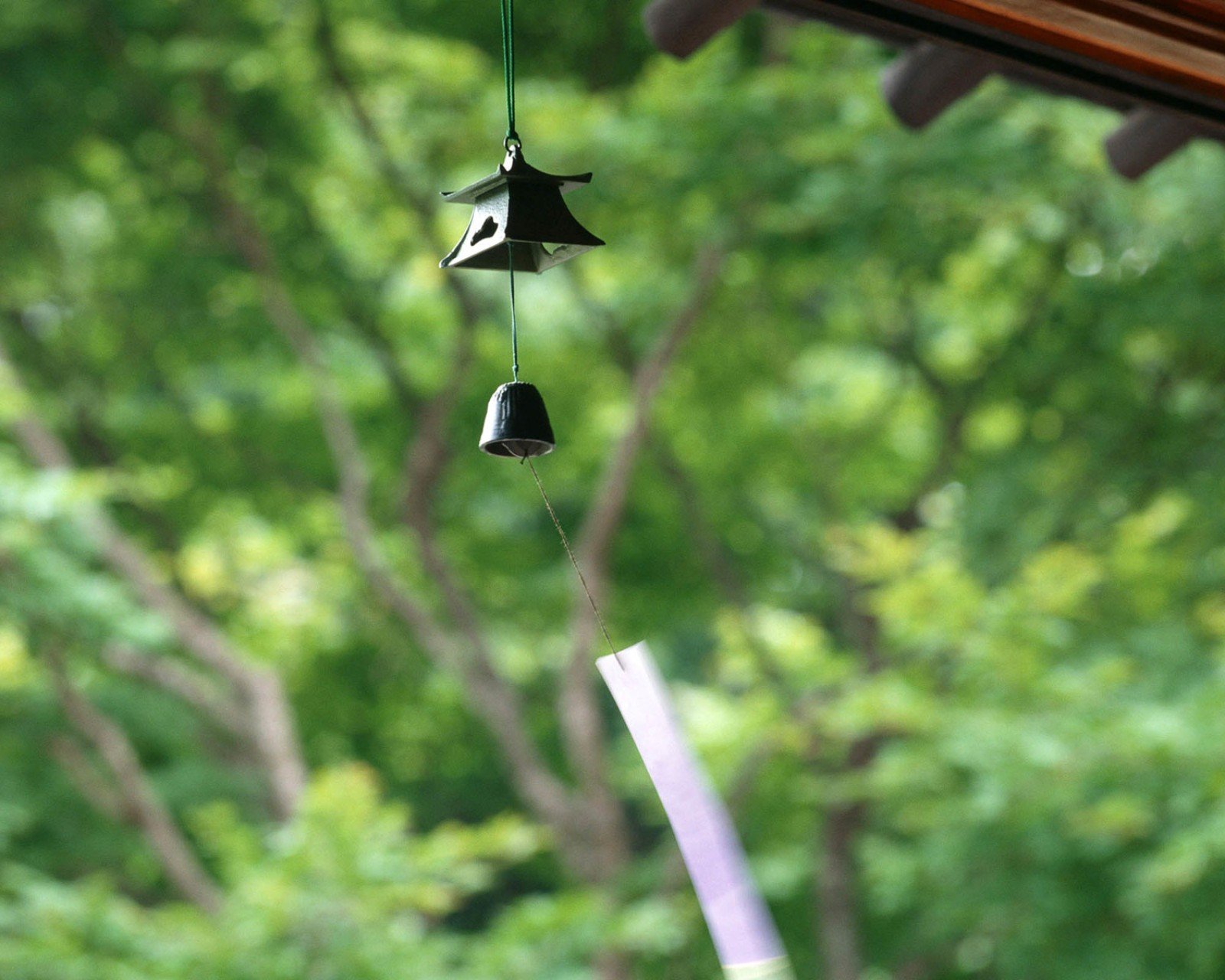 小清新 唯美 静物写真 温馨 物语 回忆 泡泡