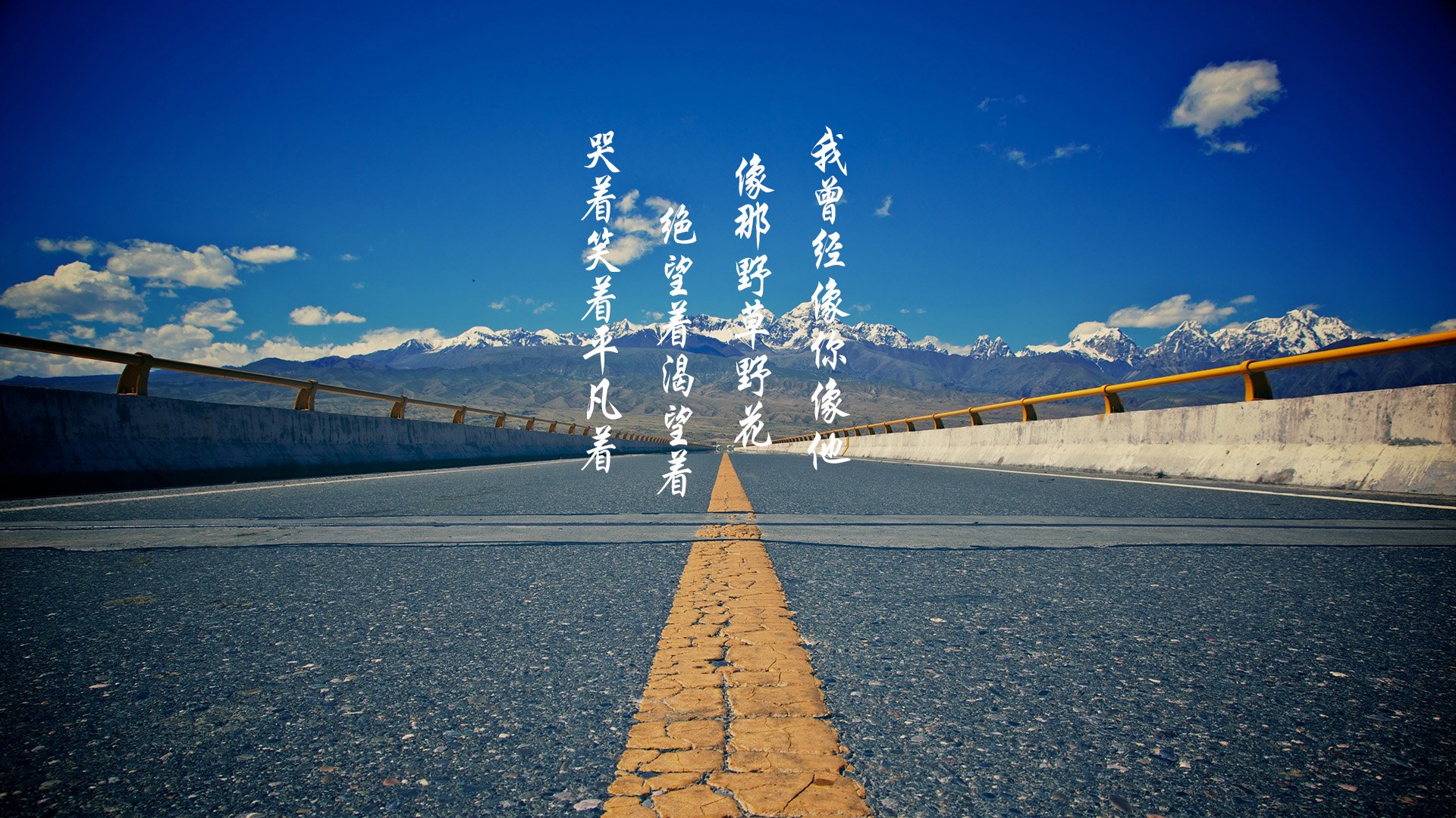 文字控  平凡之路 励志 奋斗 正能量 朴树 韩寒 后会无期 路 文字