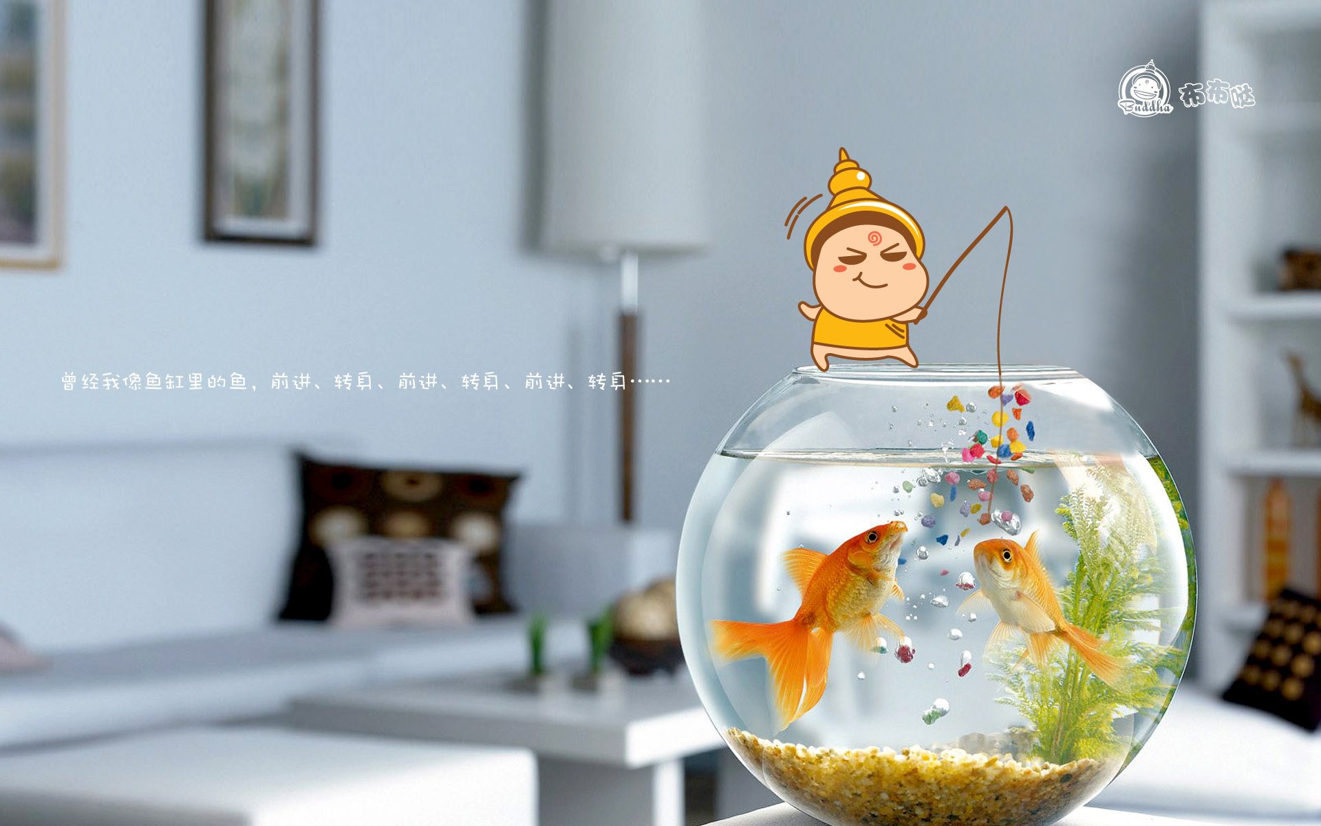 布布哒 搞笑 可爱