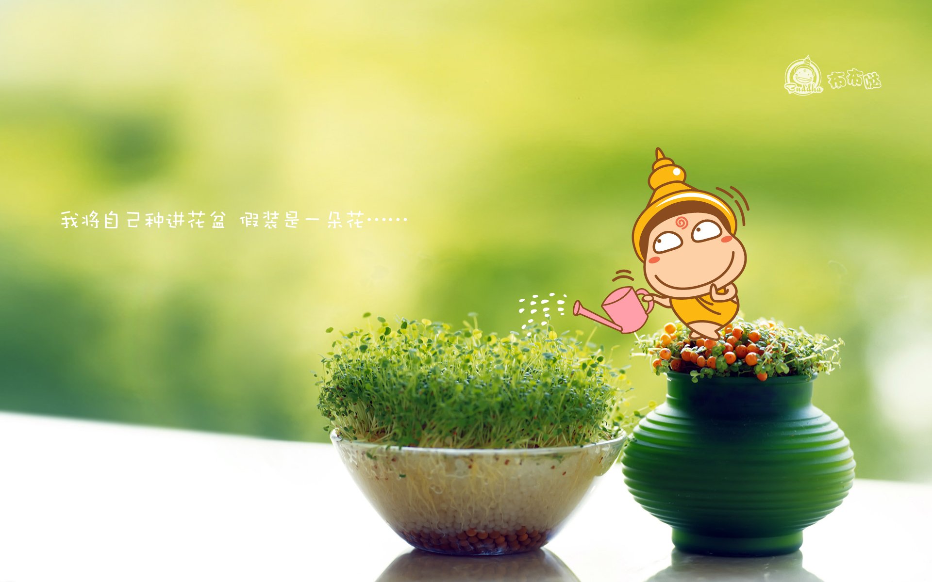 布布哒 搞笑 可爱