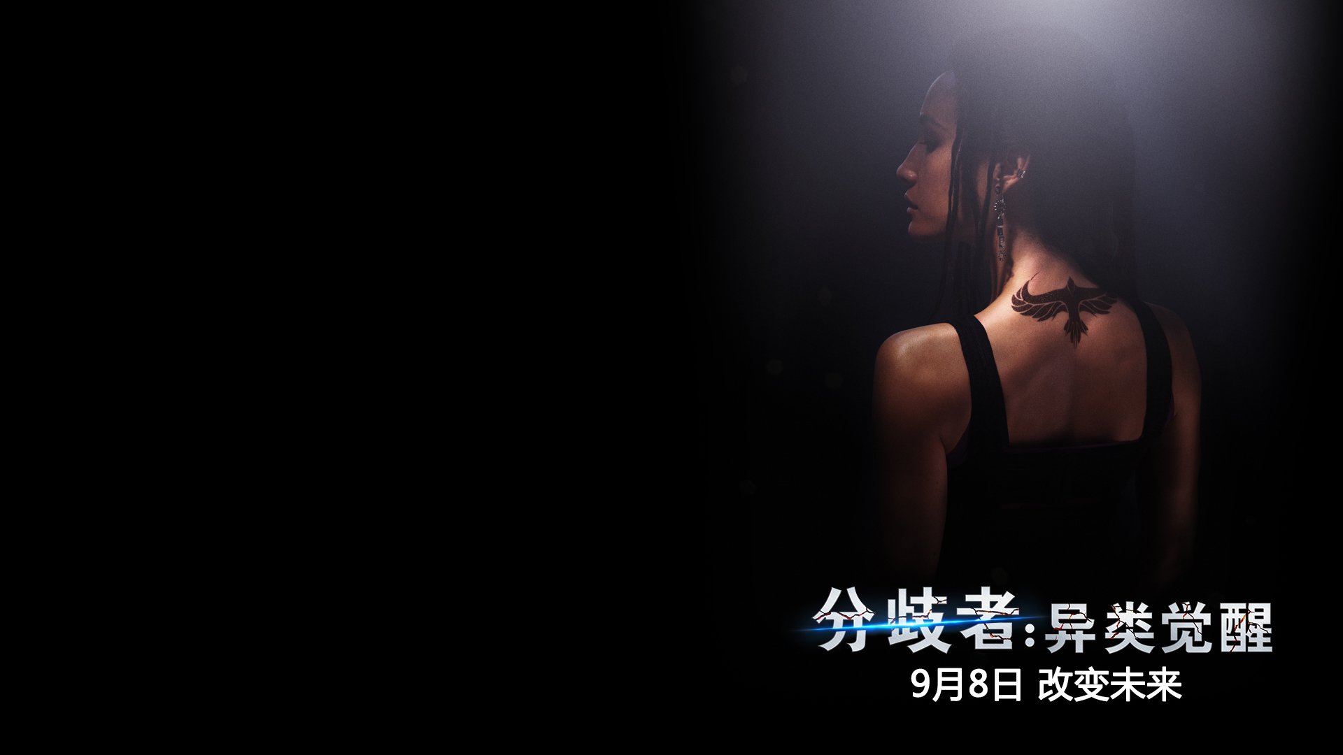 分歧者 明星 影视