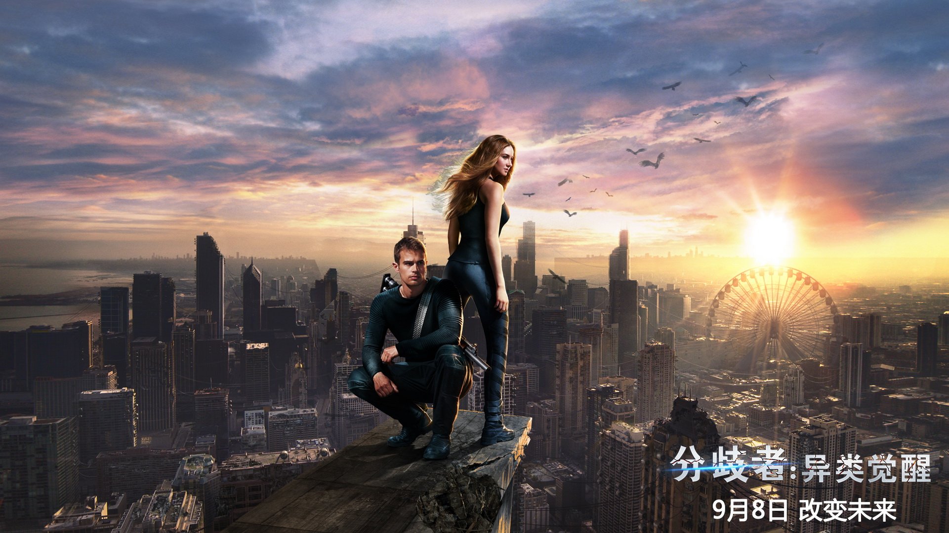 分歧者 明星 影视