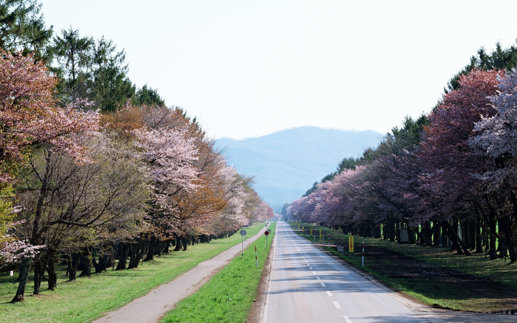 风景 自然风光 大自然 唯美 日本 北海道 日系 旅游胜地