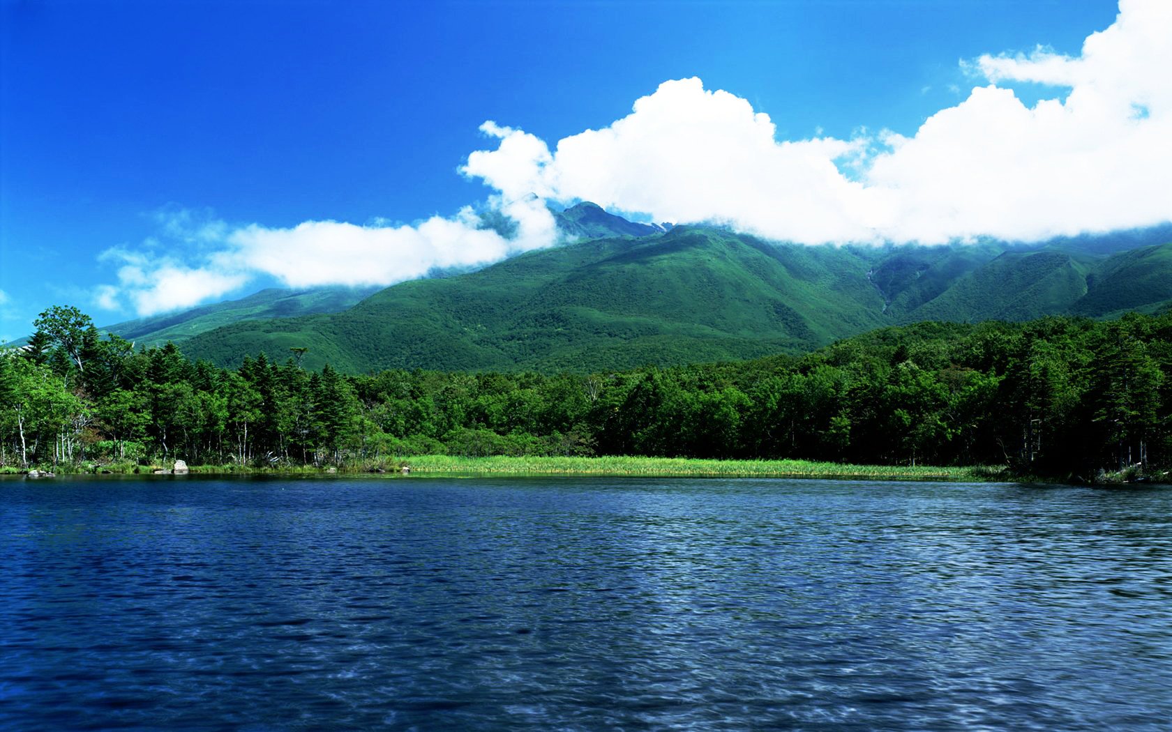 风景 自然风光 大自然 唯美 日本 北海道 日系 旅游胜地