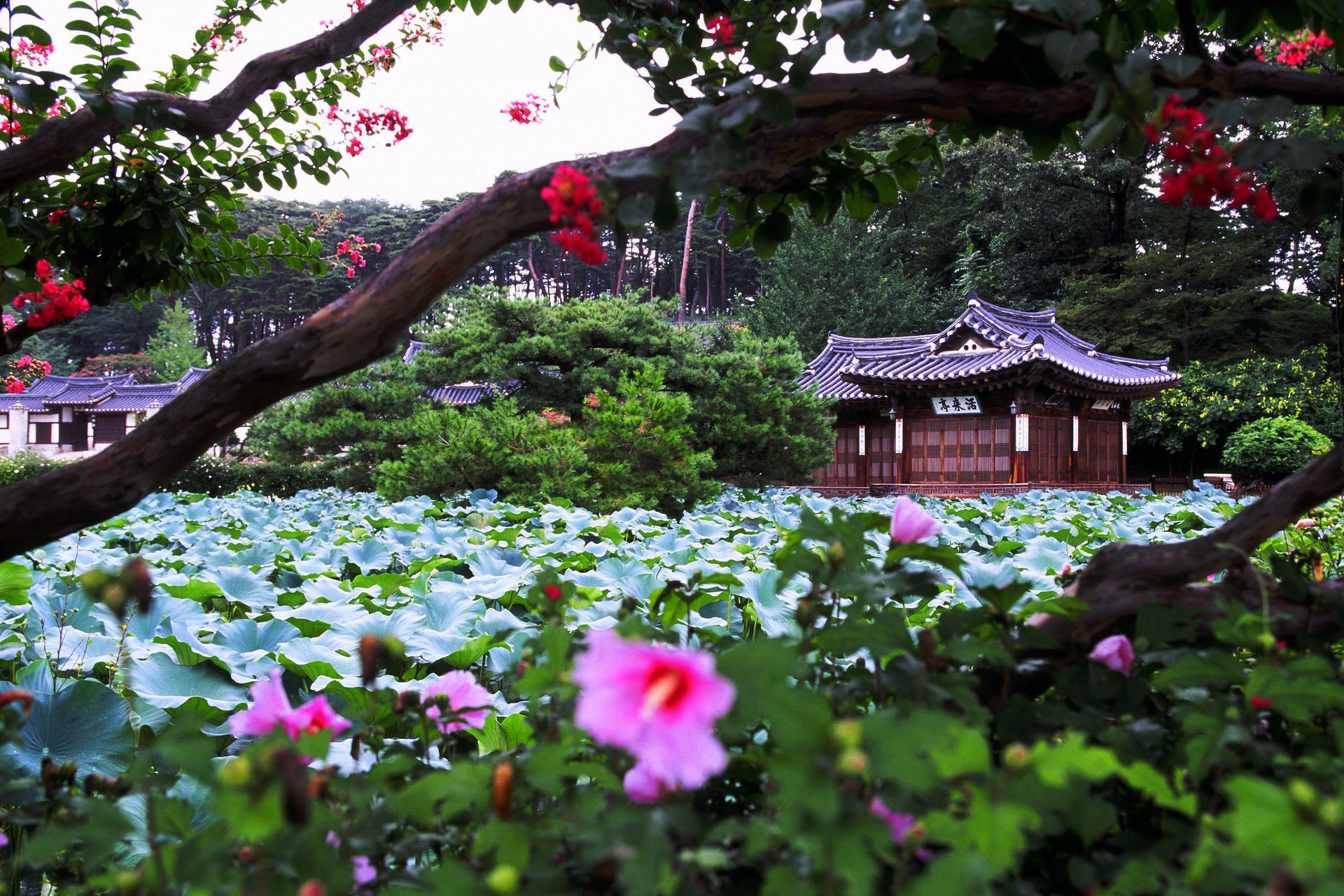 风景 自然风光 大自然 清新 旅行 时光 唯美