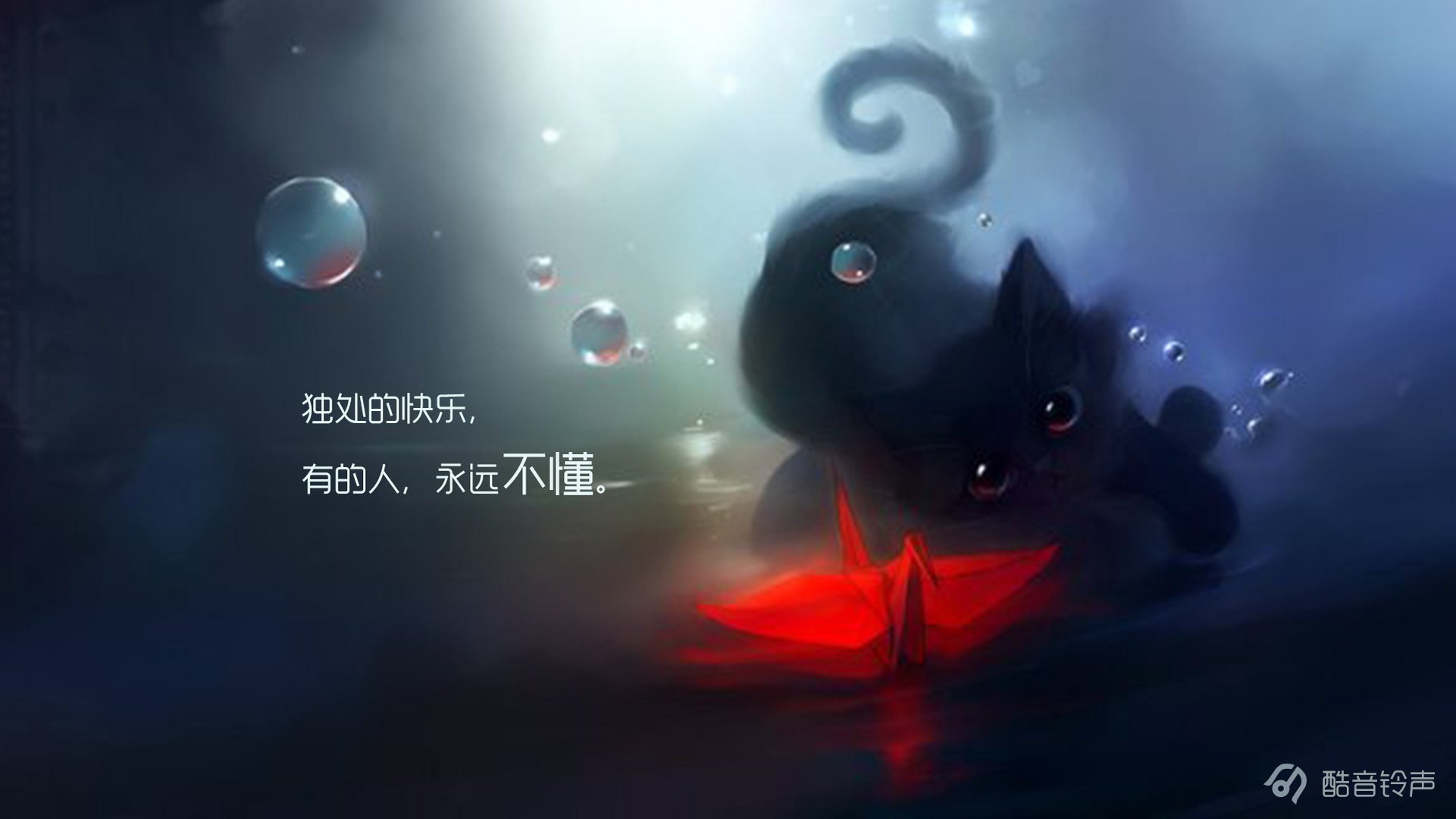 喵星人 萌宠 宠物 猫