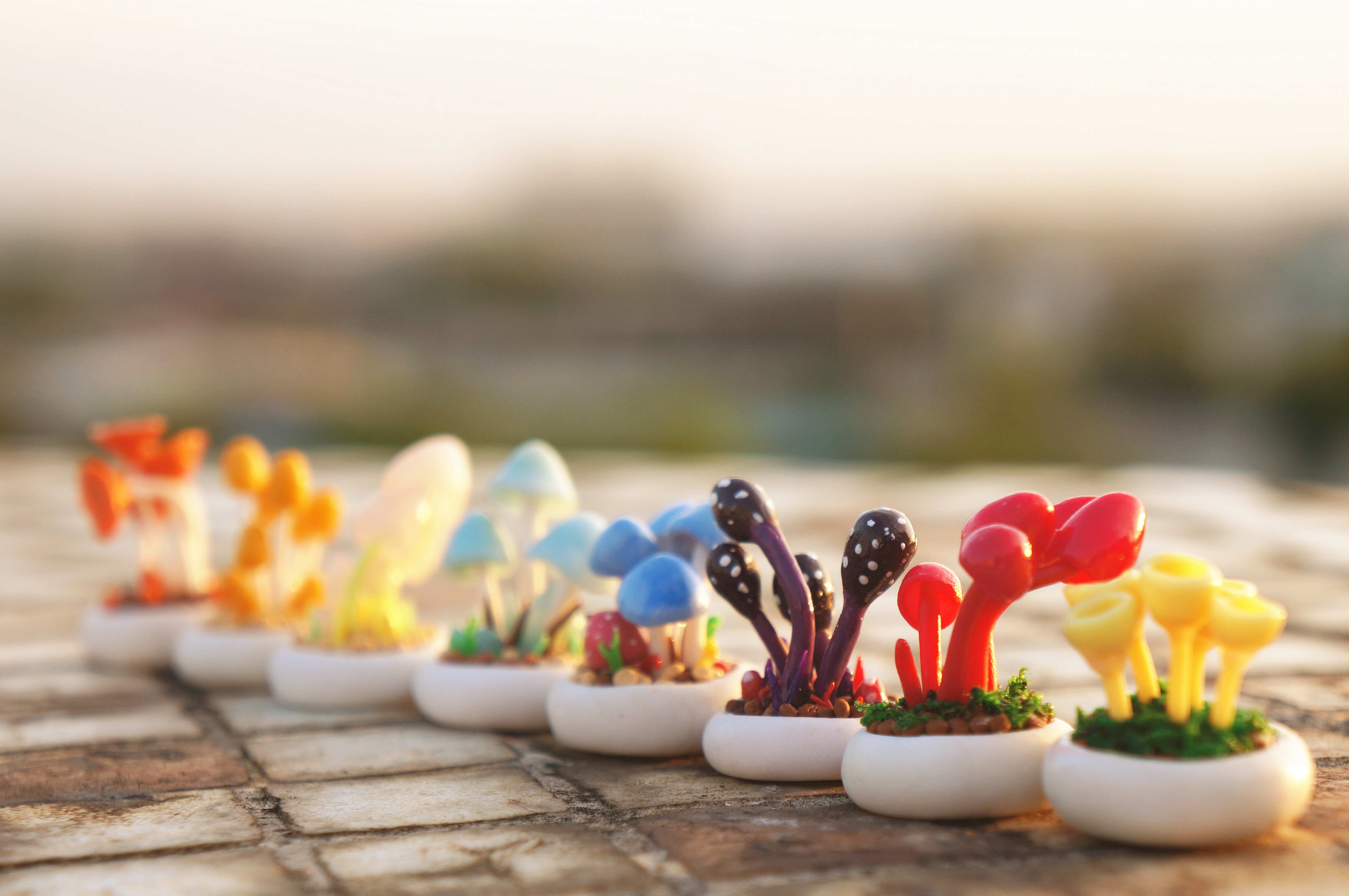 小清新 温暖 干净 安静 唯美 静物 物语 时光