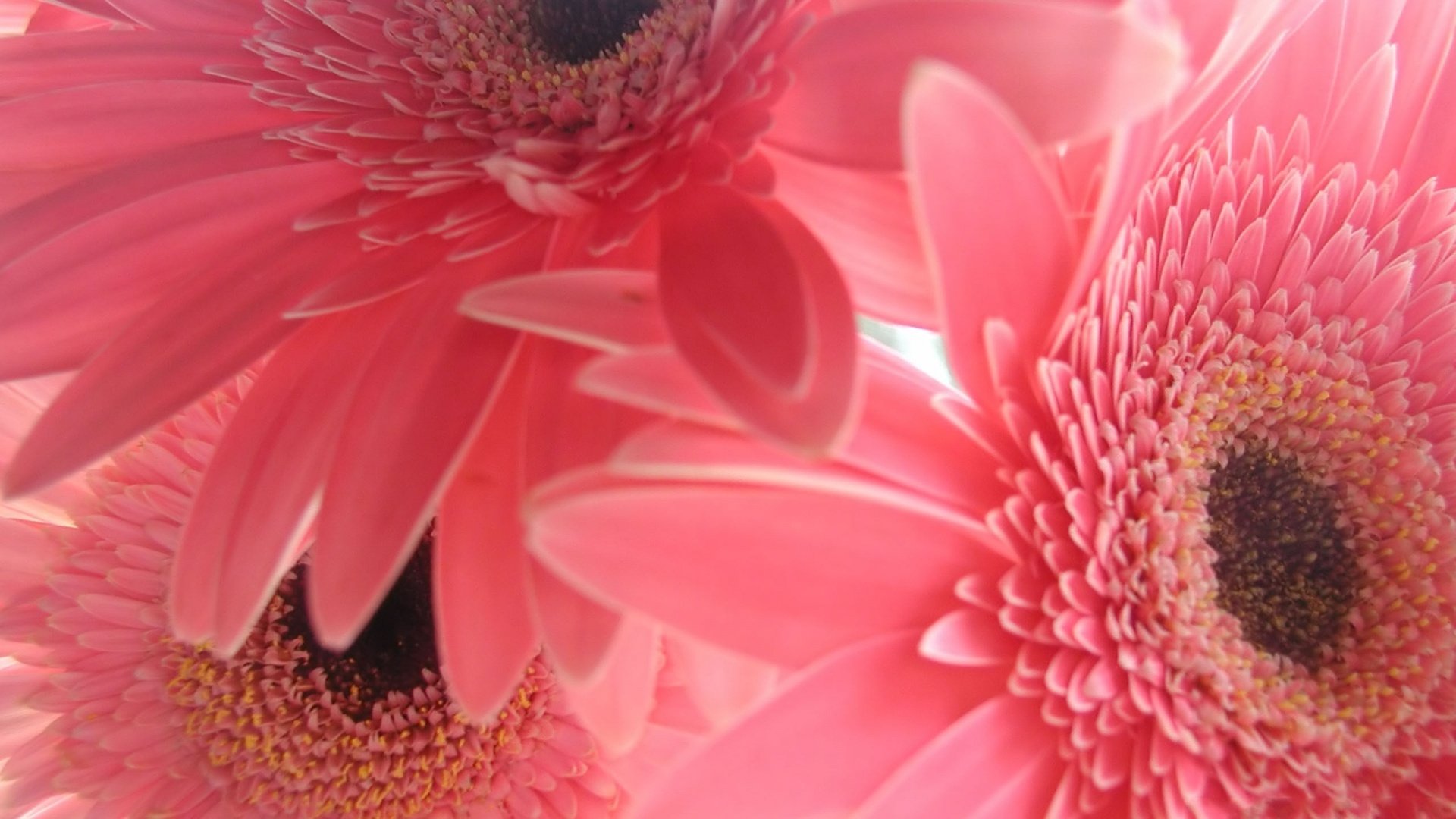 小清新 温暖 干净 安静 唯美 静物 物语 时光