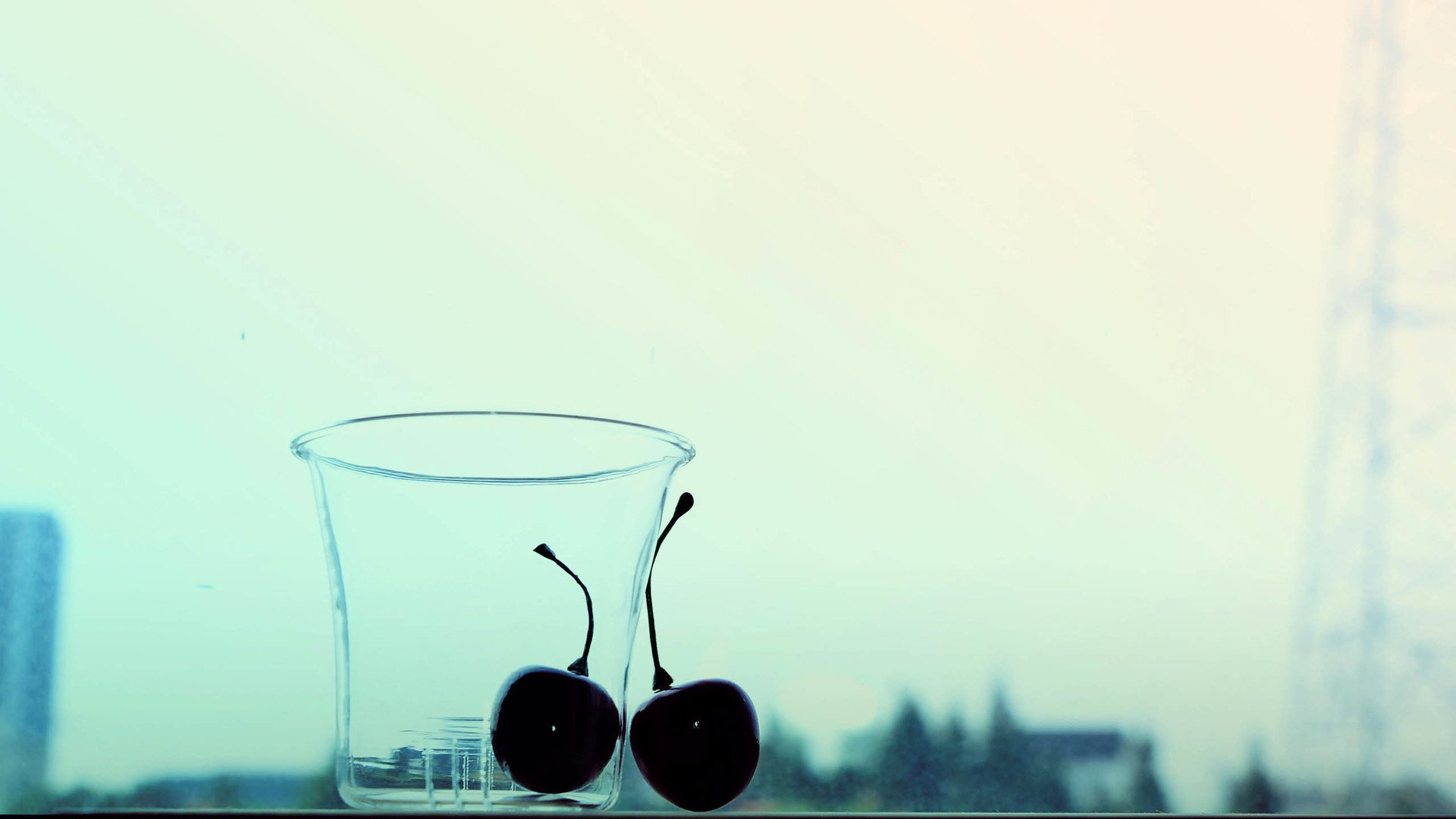 小清新 温暖 干净 安静 唯美 静物 物语 时光