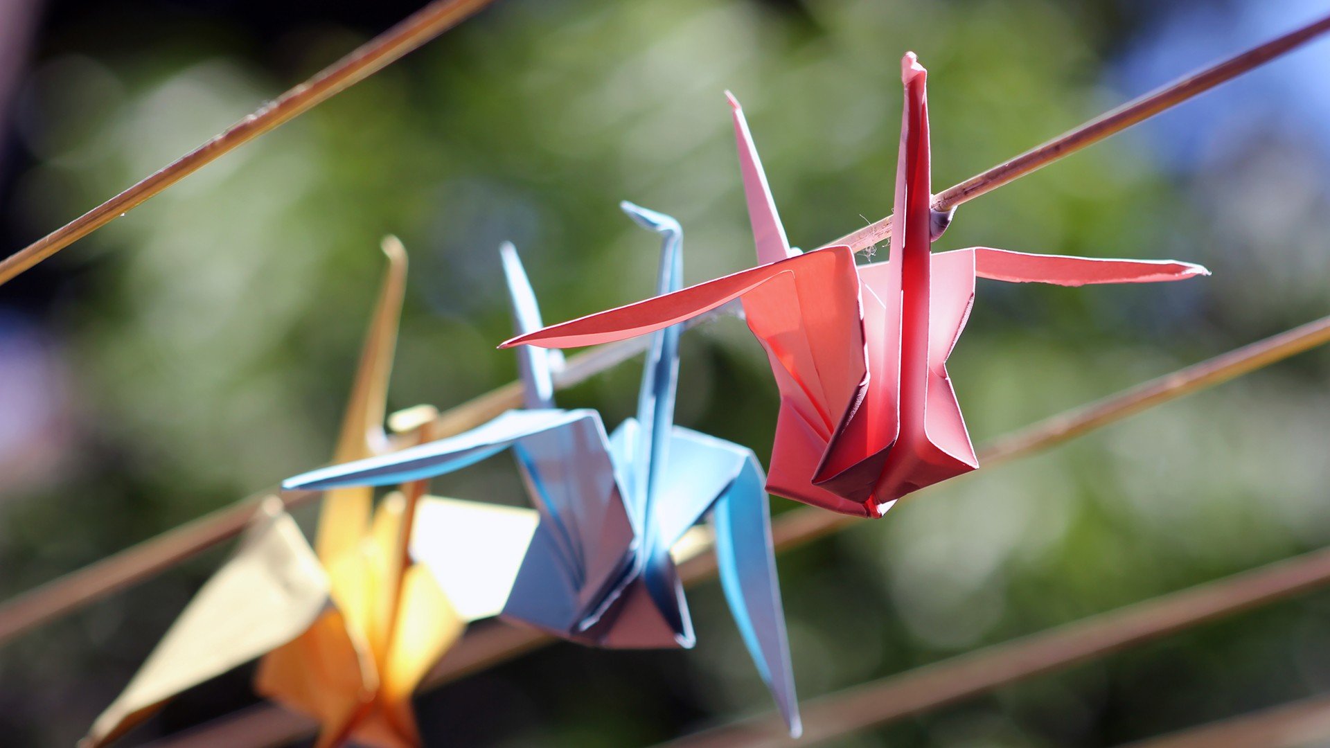 小清新 温暖 干净 安静 唯美 静物 物语 时光