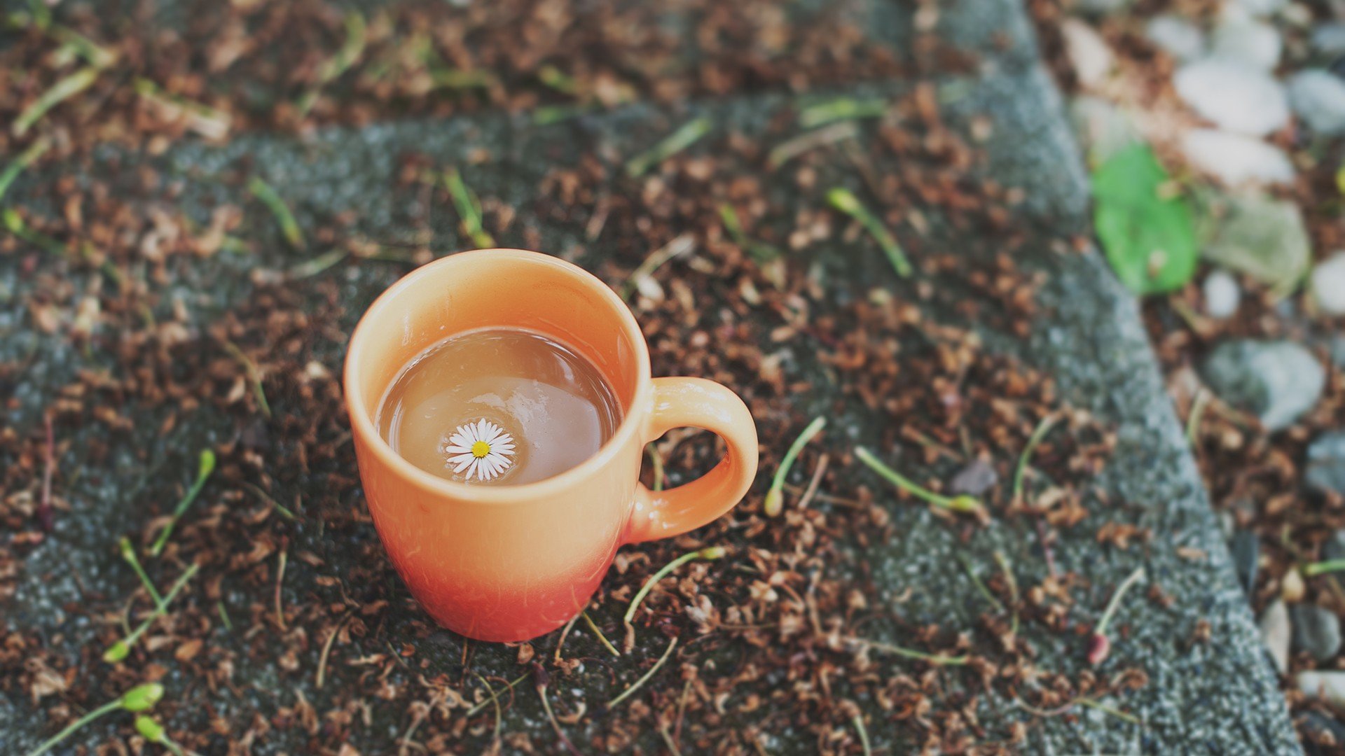 小清新 温暖 干净 安静 唯美 静物 物语 时光