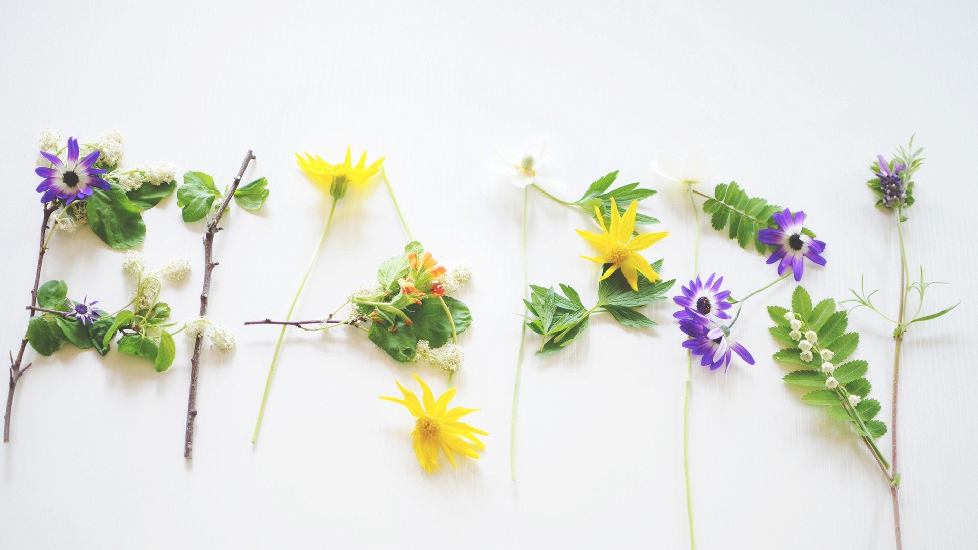 小清新 温暖 干净 安静 唯美 静物 物语 时光