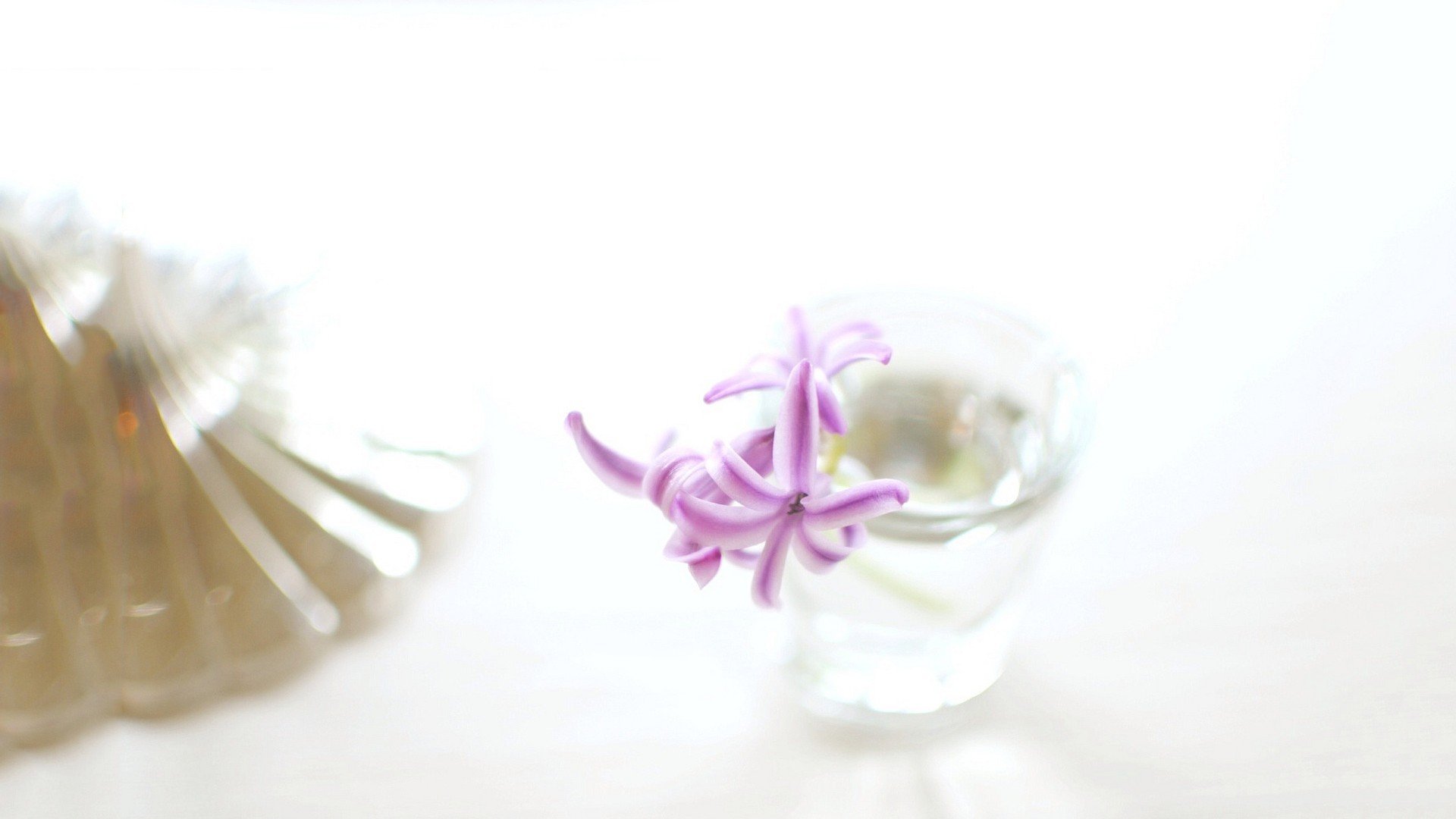 小清新 温暖 干净 安静 唯美 静物 物语 时光