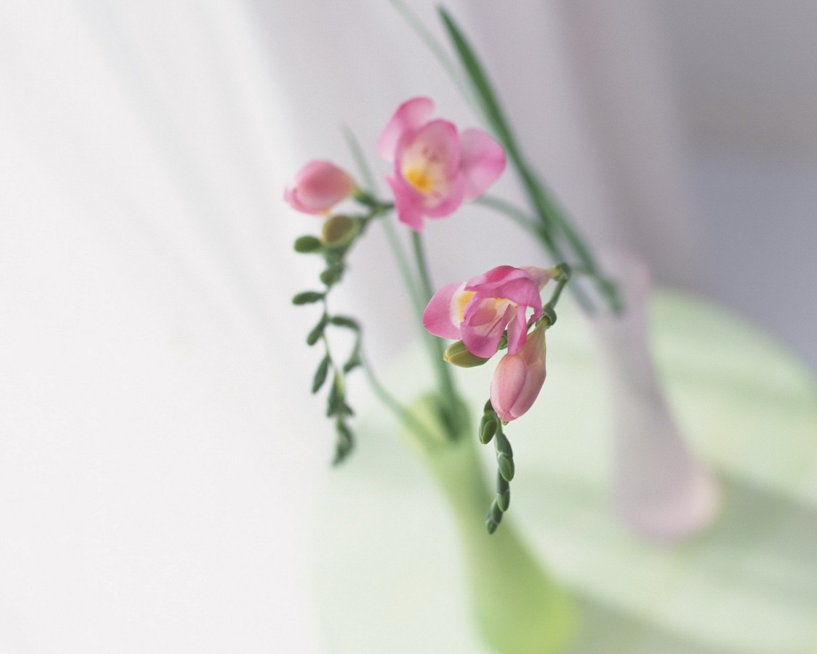 小清新 温暖 干净 安静 唯美 静物 物语 时光