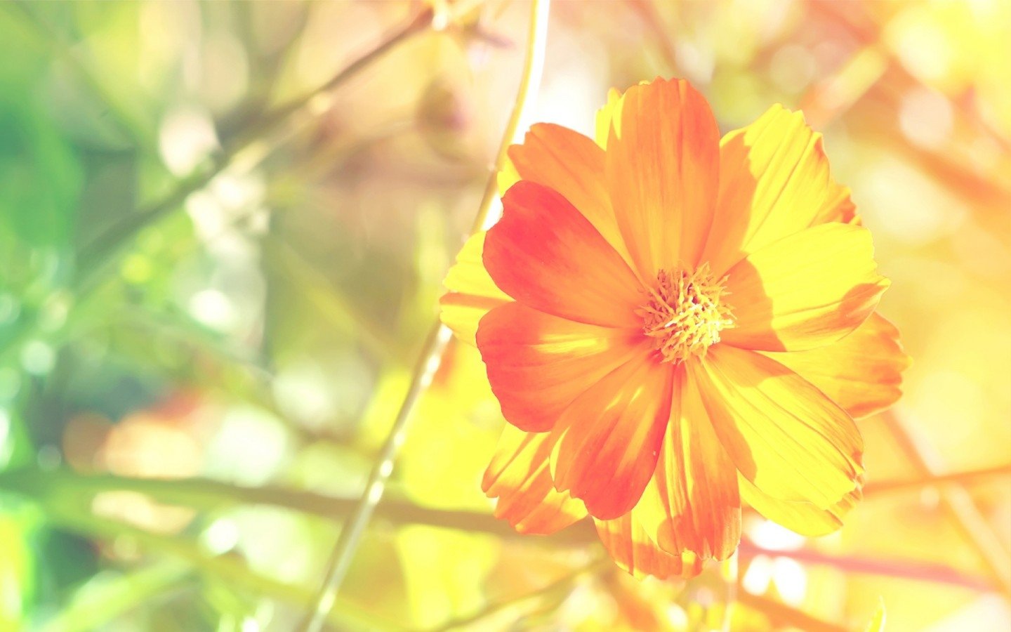 小清新 温暖 干净 安静 唯美 静物 物语 时光