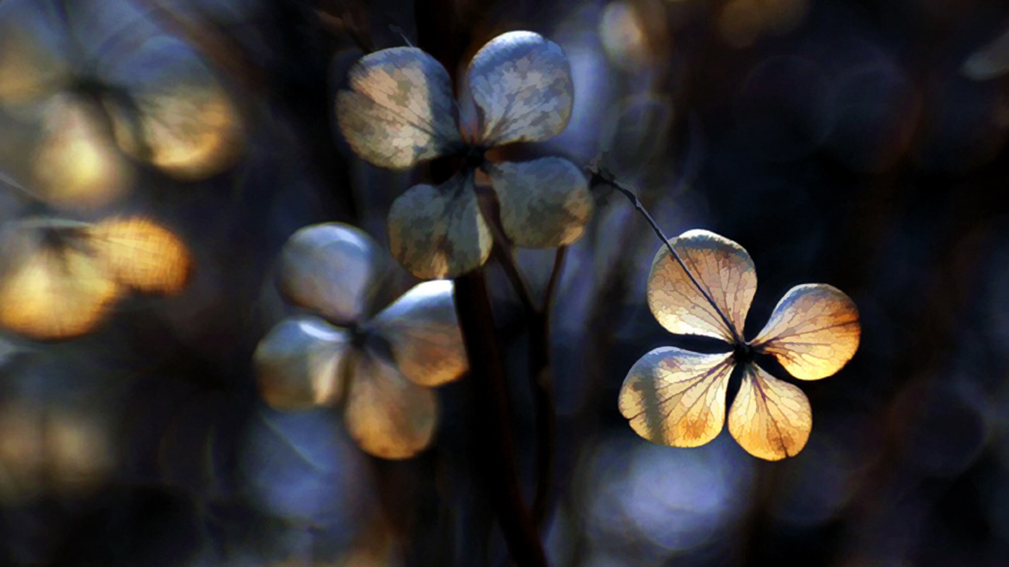小清新 温暖 干净 安静 唯美 静物 物语 时光