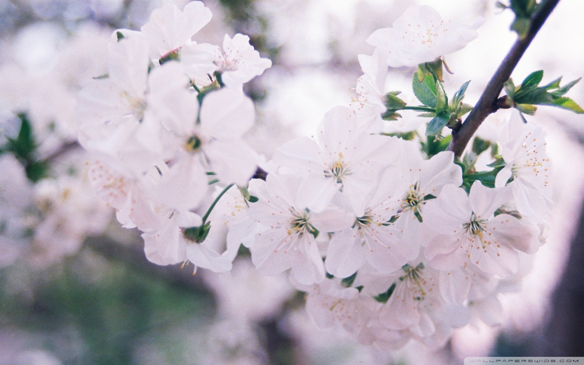小清新 温暖 干净 安静 唯美 静物 物语 时光