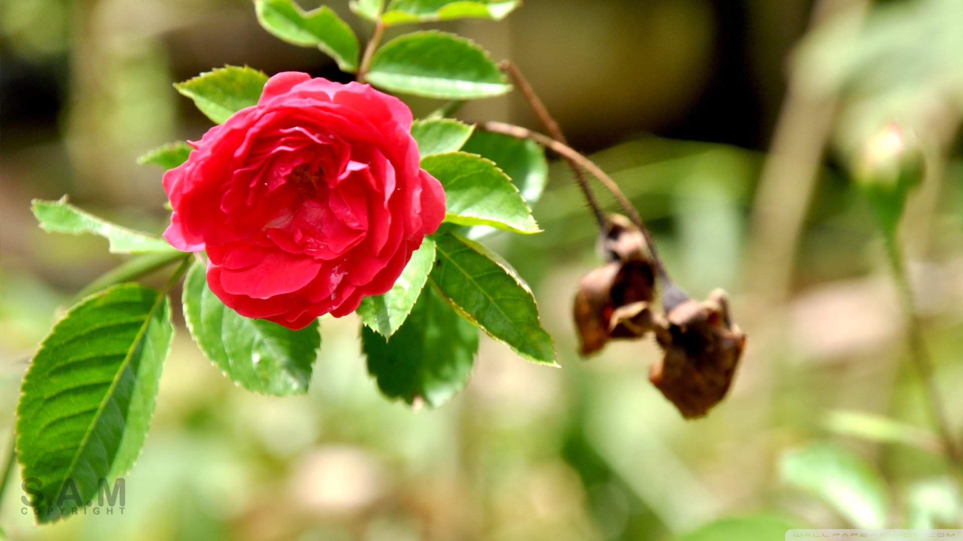 小清新 温暖 干净 安静 唯美 静物 物语 时光