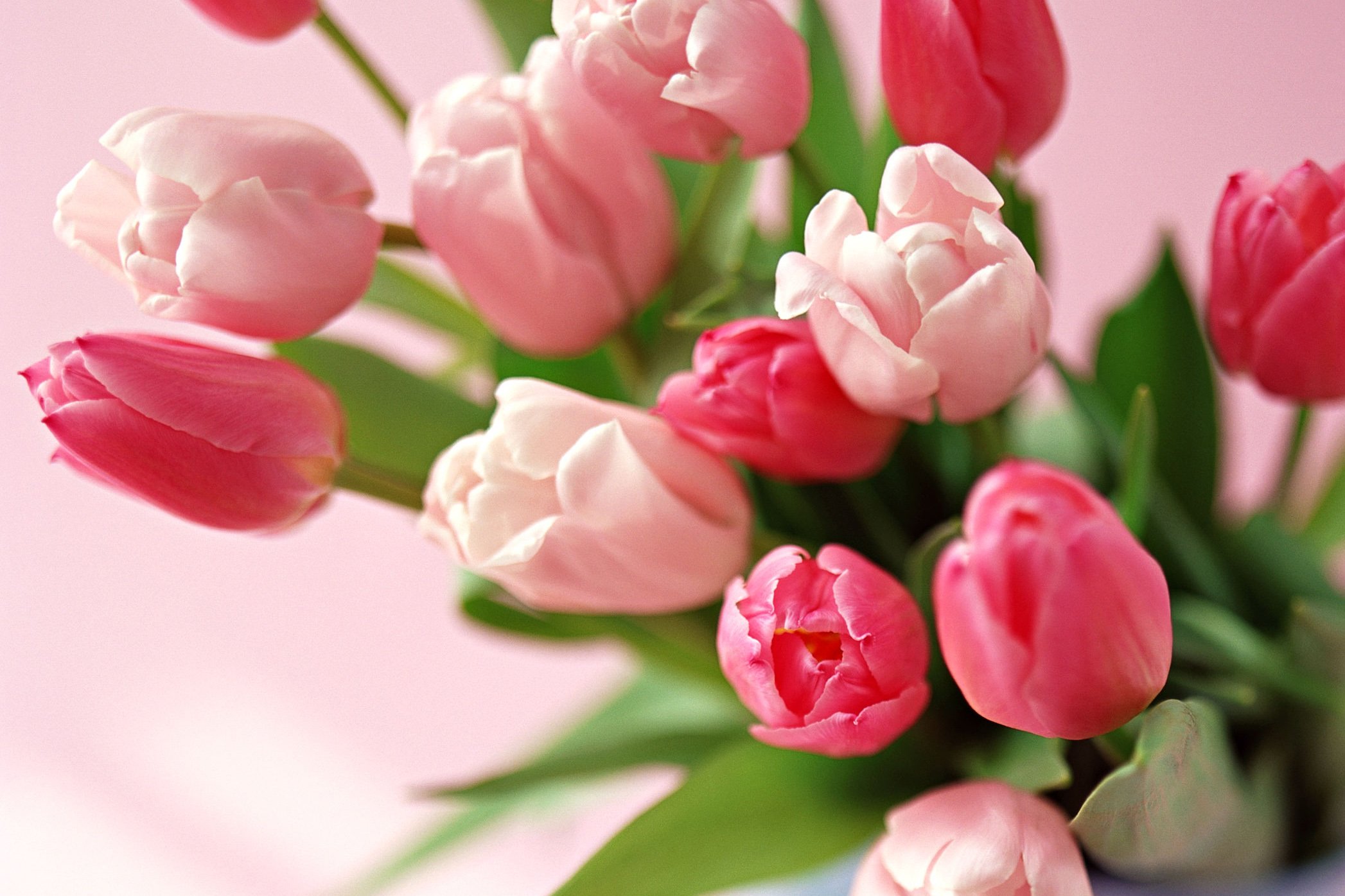 小清新 温暖 干净 安静 唯美 静物 物语 时光