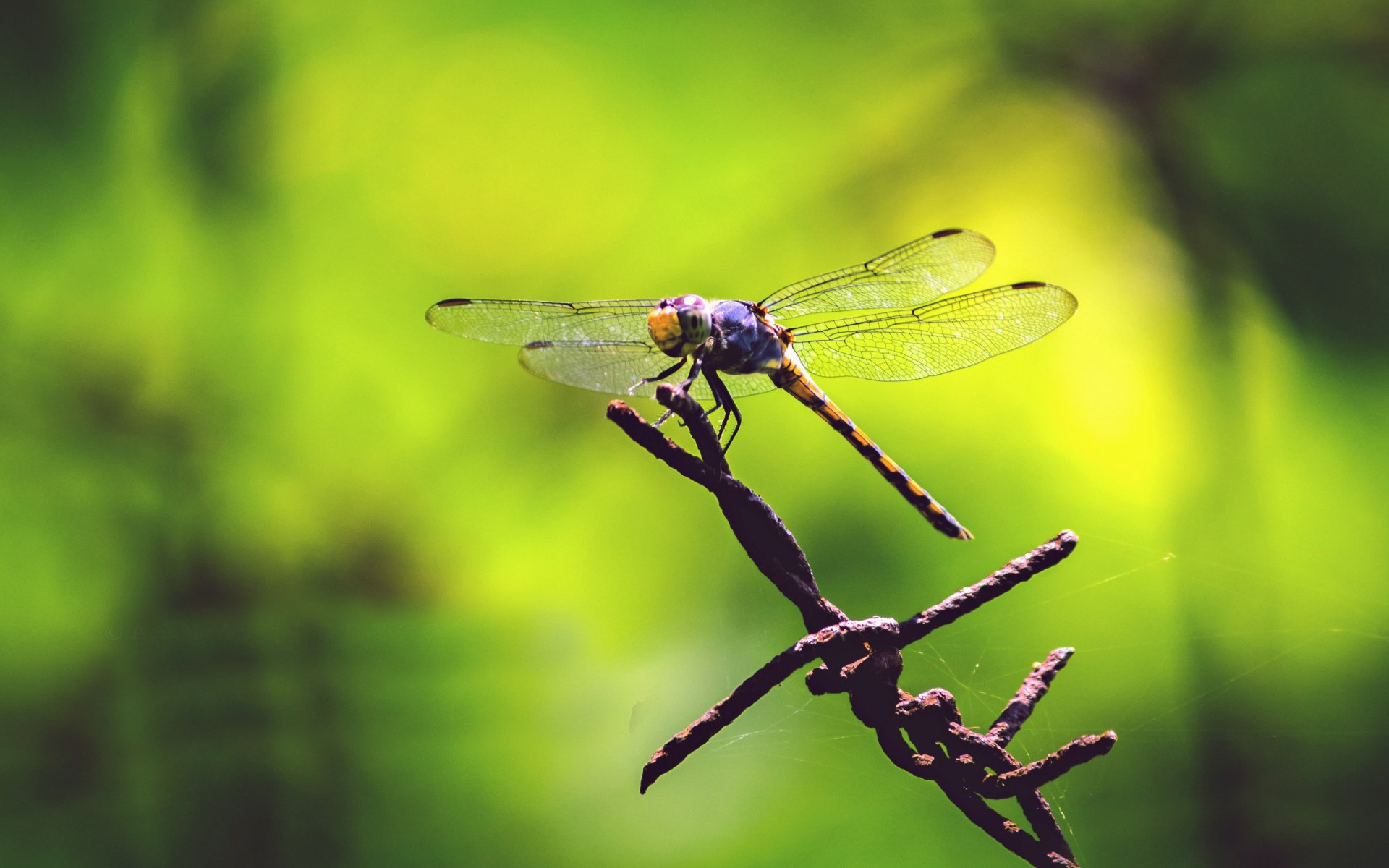 小清新 温暖 干净 安静 唯美 静物 物语 时光 清新淡雅 宁静安详